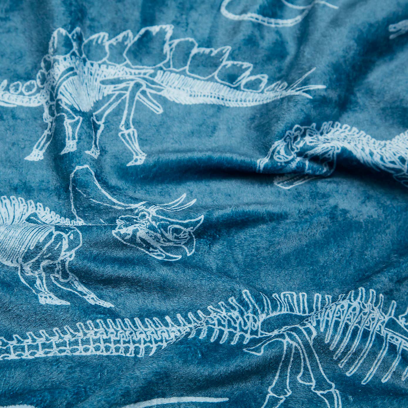 Age of Dinosaurs Blanket