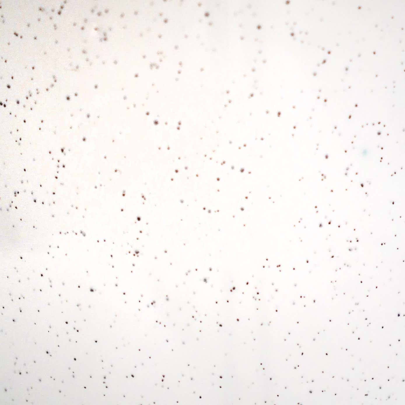 Lecce Speckled Plant Pot