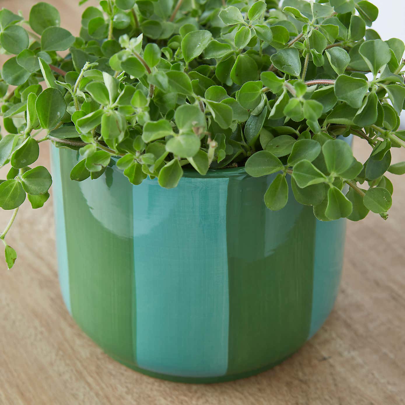 Elements Striped Ceramic Plant Pot