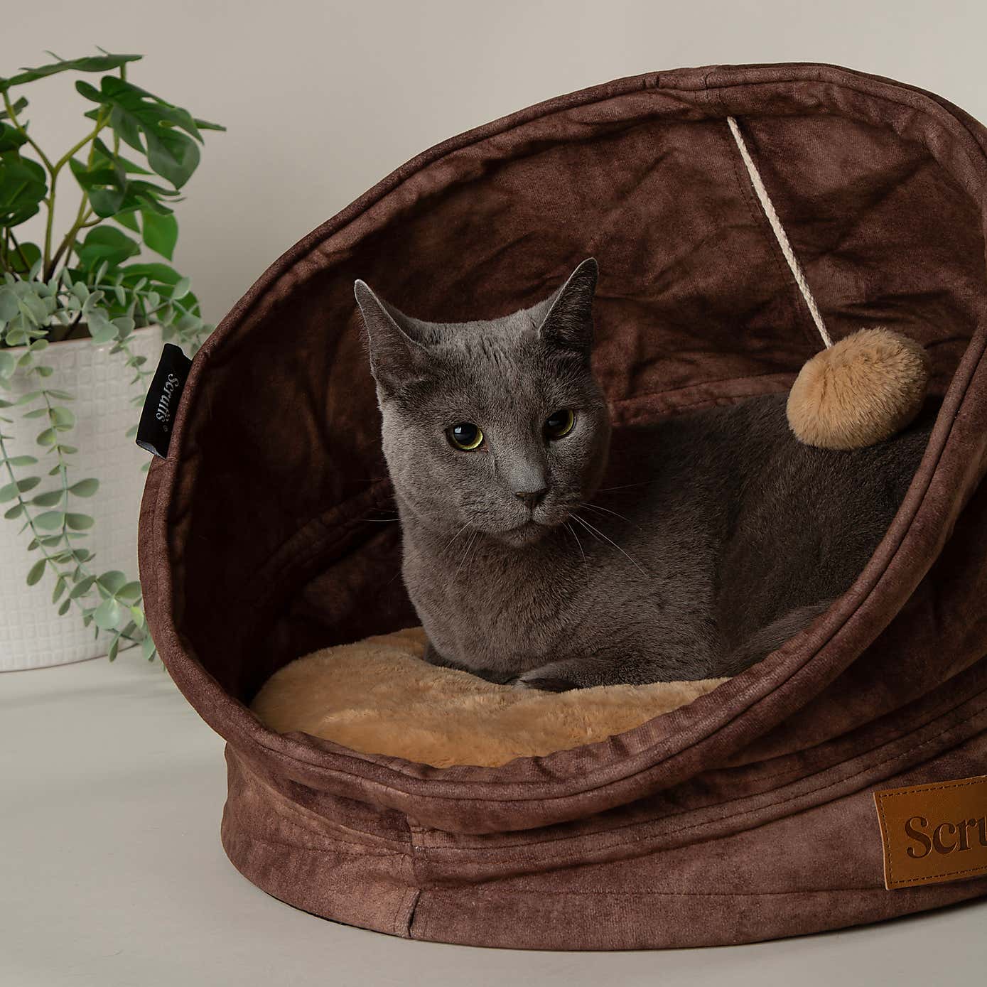 Scruffs Kensington Cat Bed