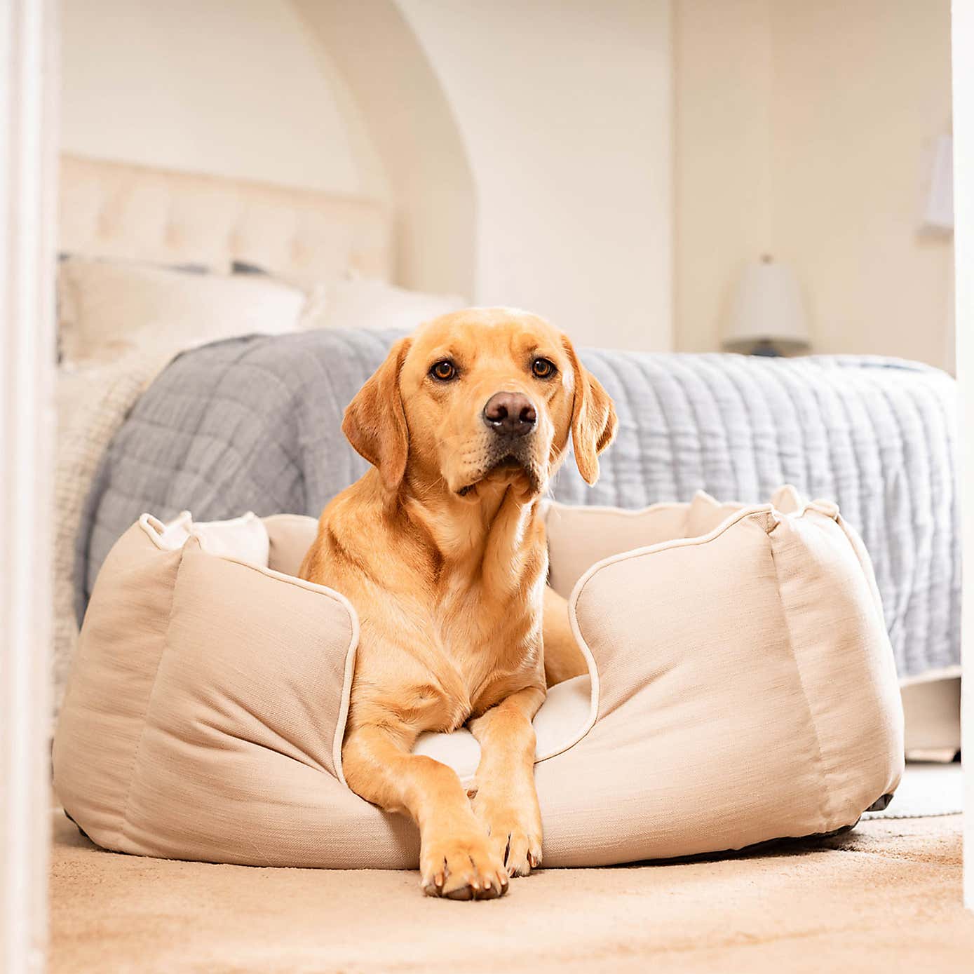 Lords and Labradors Savanna High Wall Dog Bed