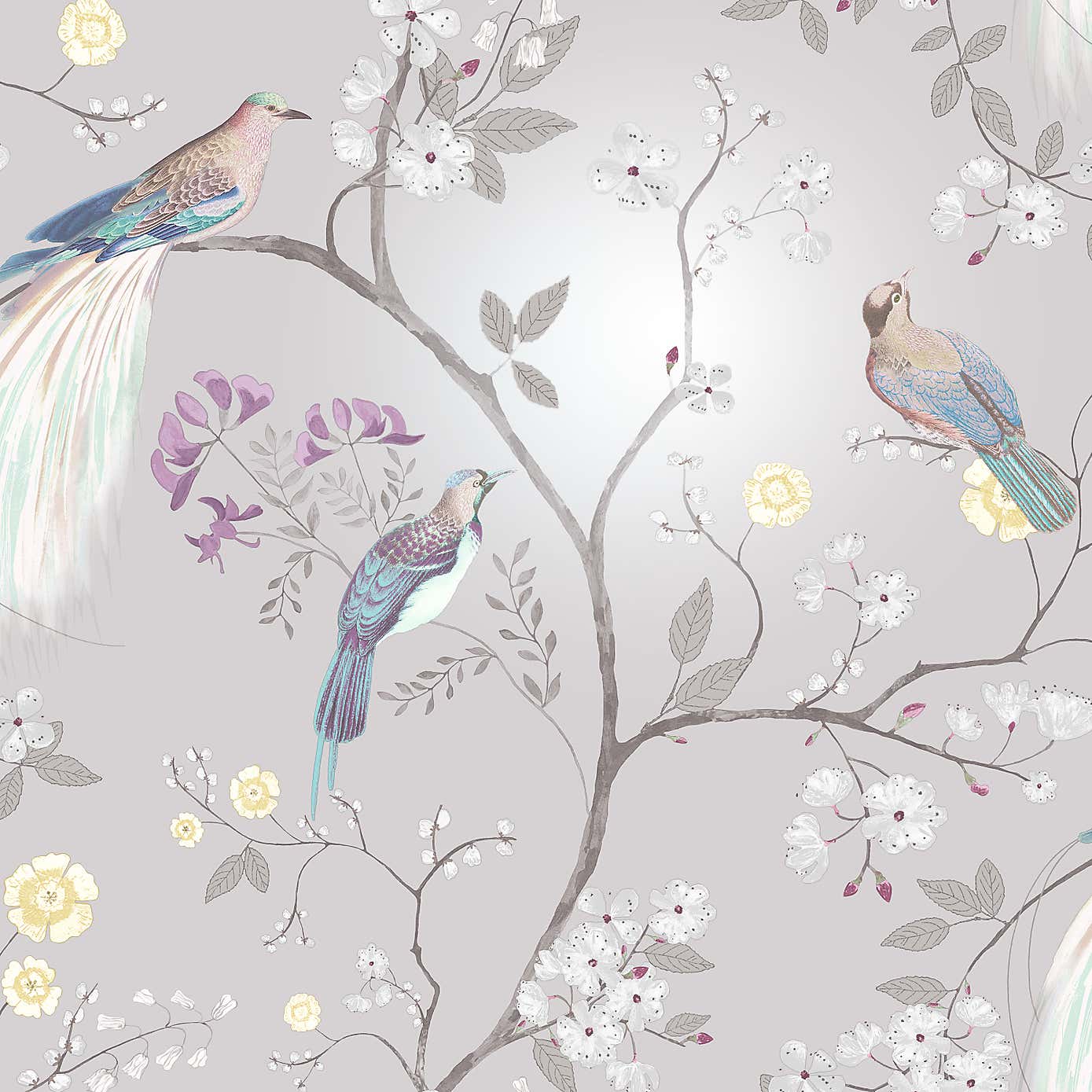 Dorma Maiya Wallpaper