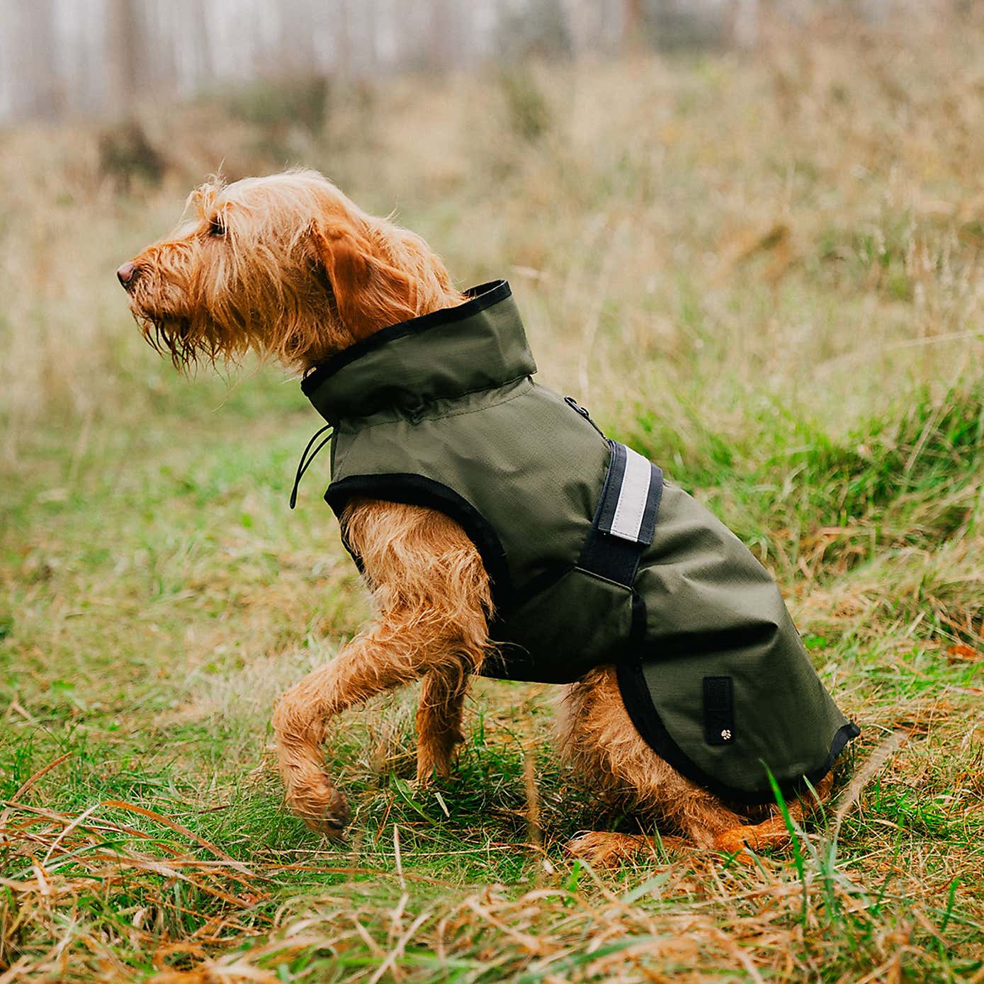 Danish Design 3 in 1 Dog Coat