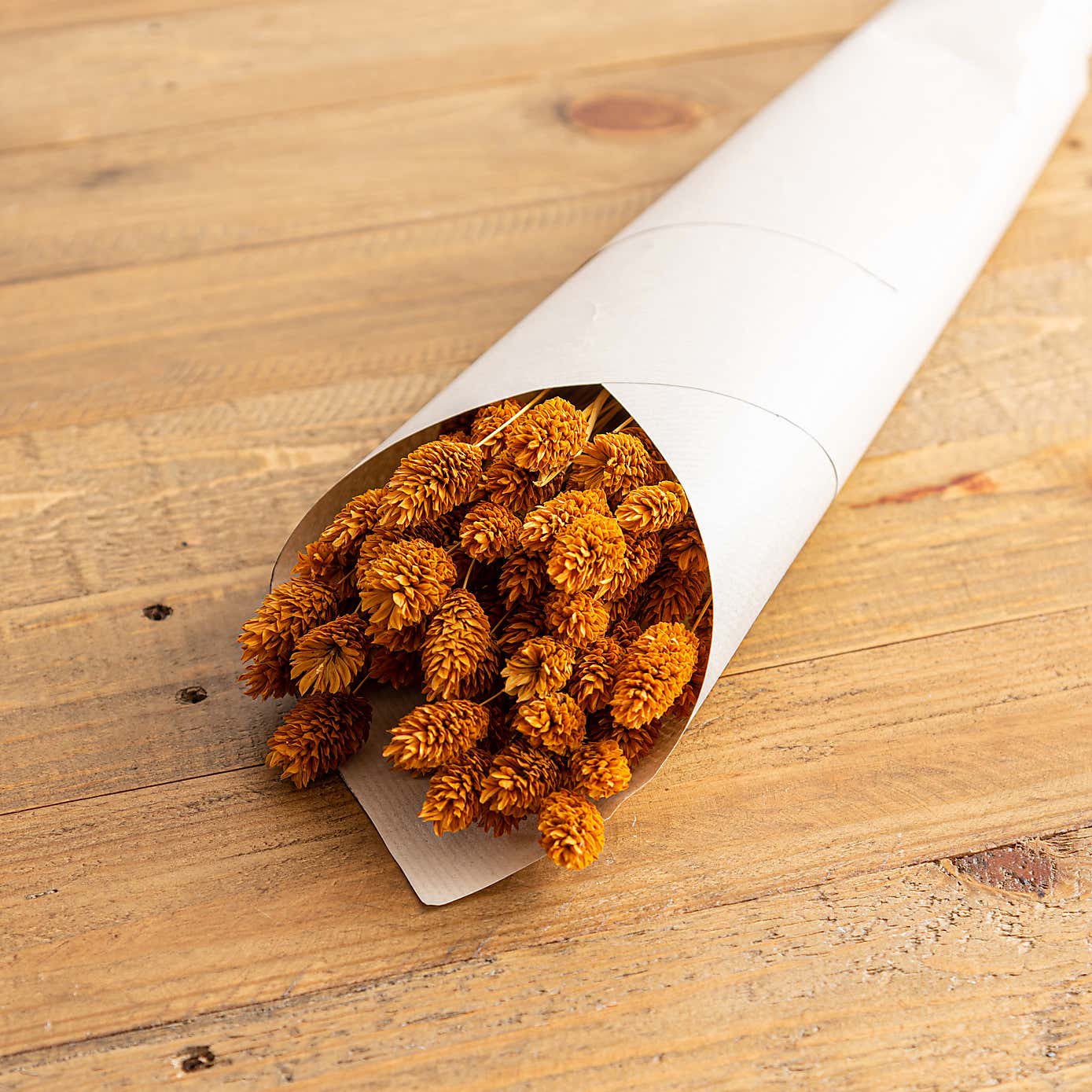 Dried Phalaris Bouquet