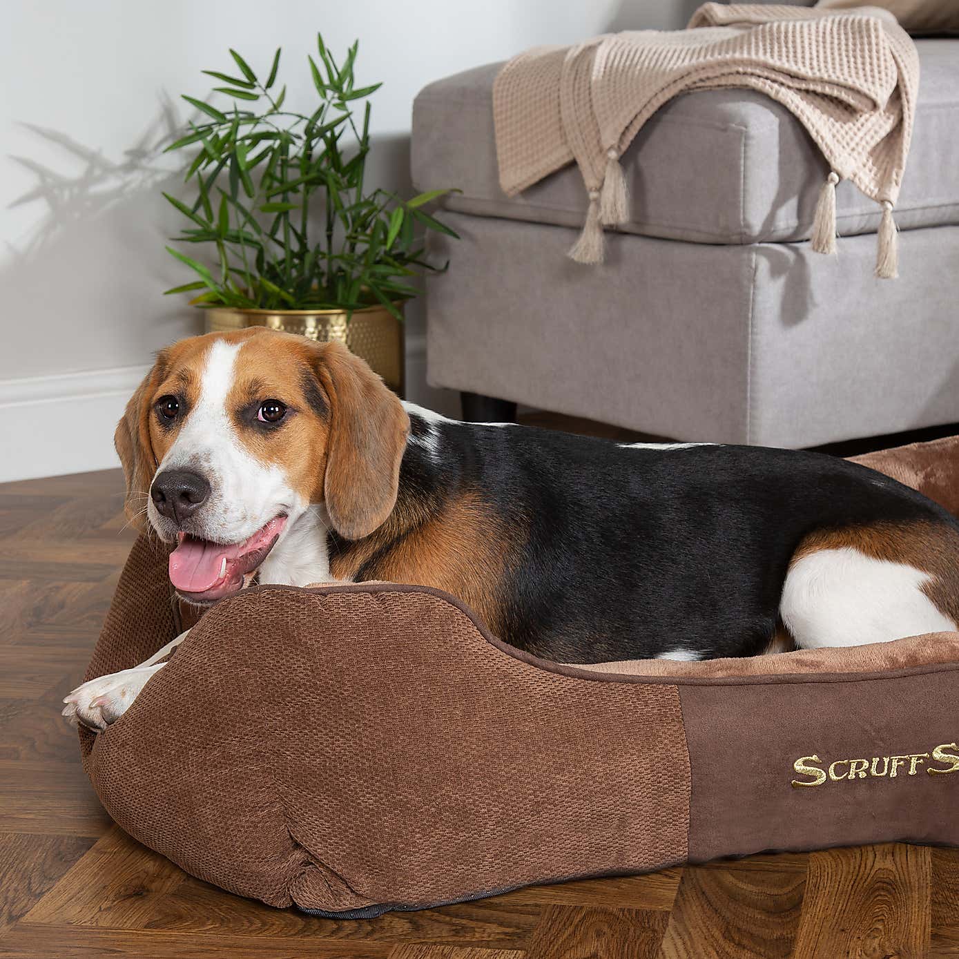 Scruffs Pet Chester Box Bed