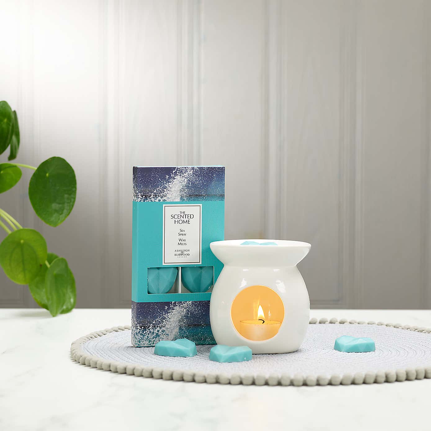 The Scented Home Sea Spray Wax Melts