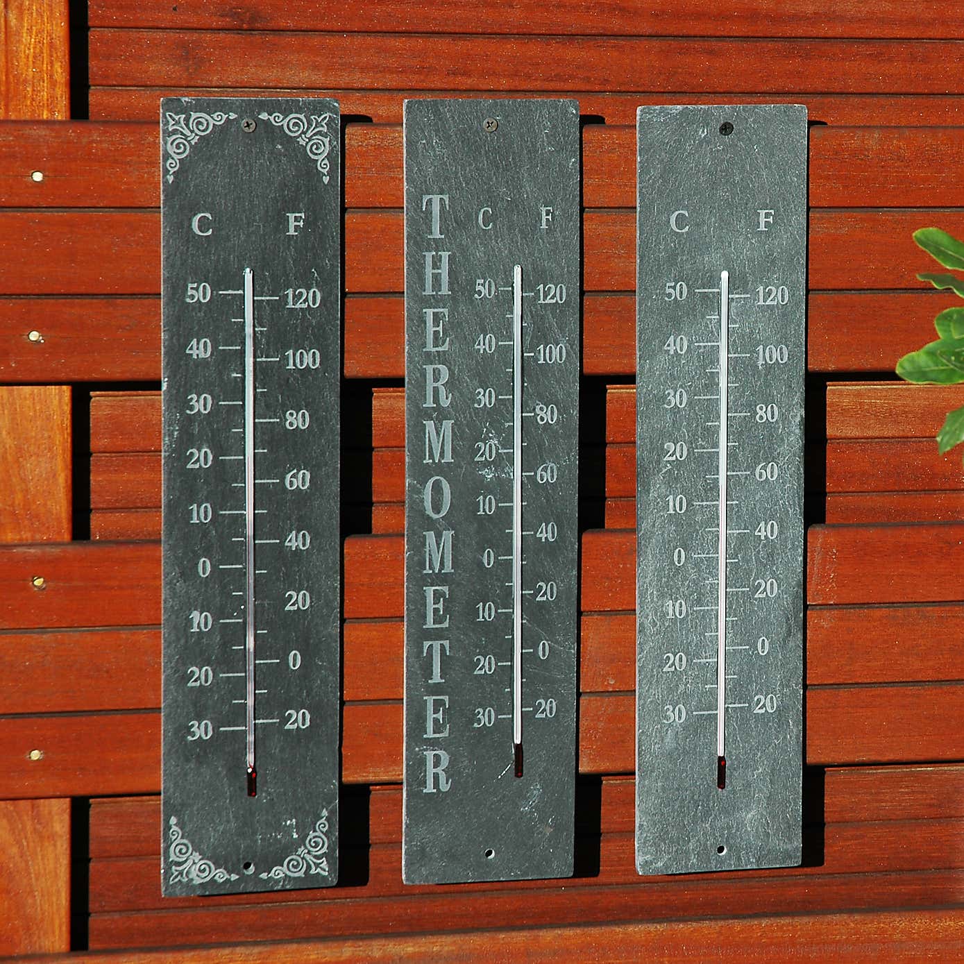 Fallen Fruits Slate Thermometer