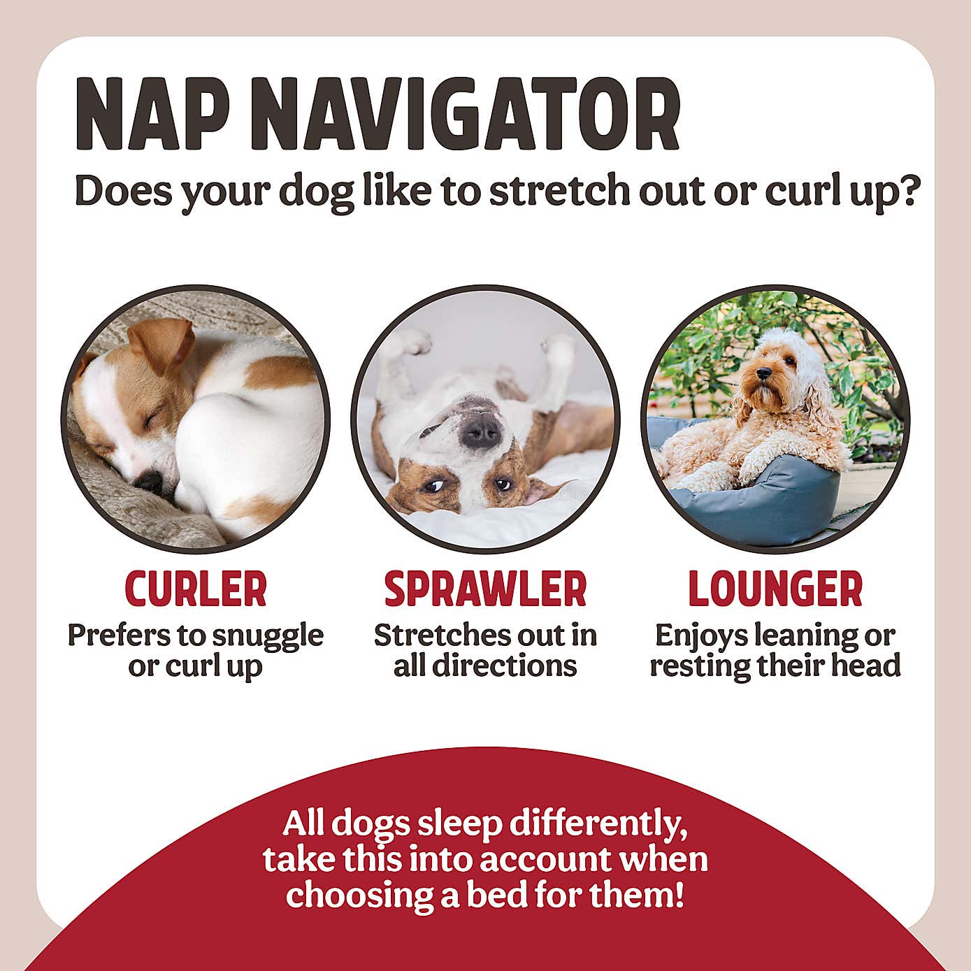 Rosewood Plastic Pet Bed