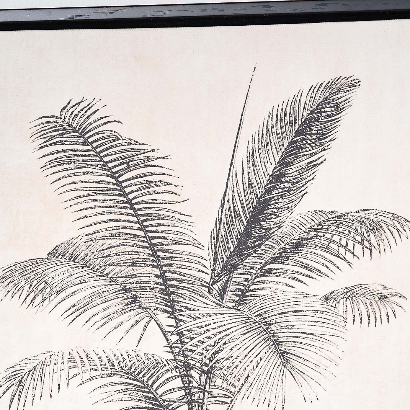 Set of 3 Monochrome Palm Print Framed Canvases