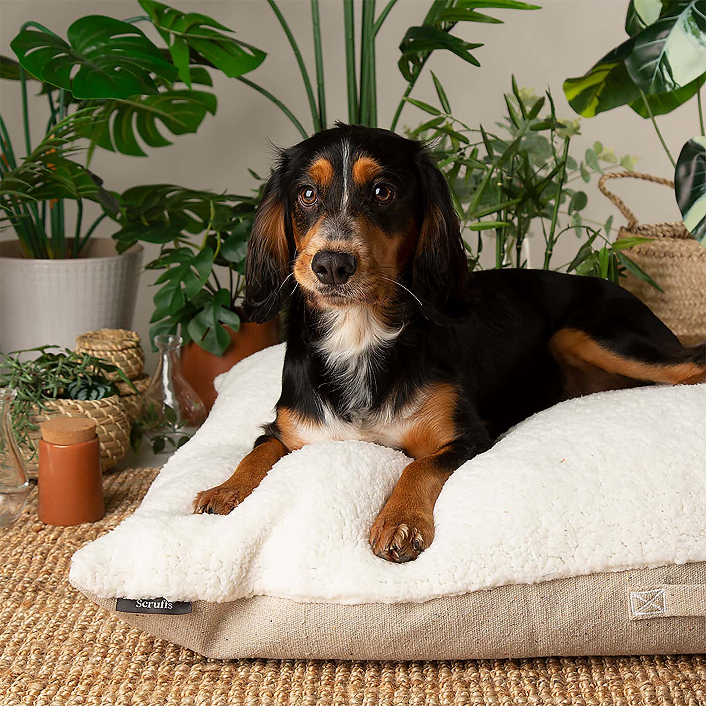 Scruffs 100% Recycled Eden Dog Pillow
