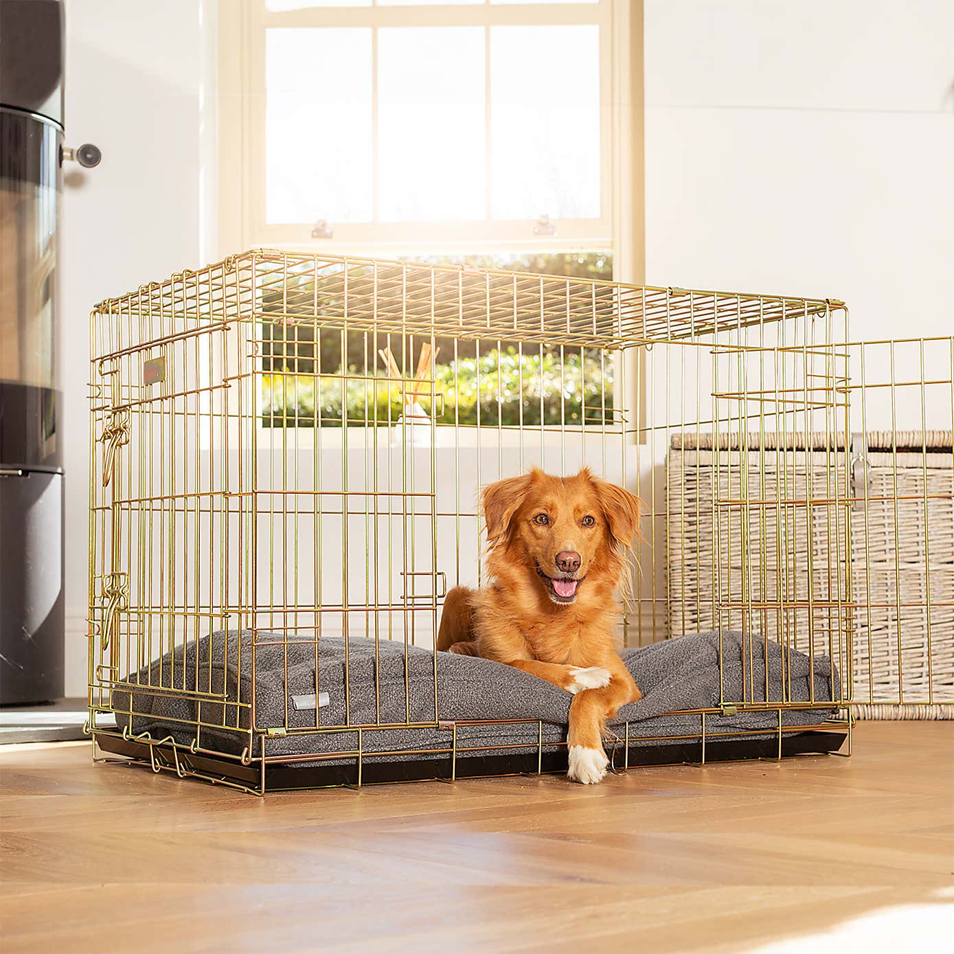 Lords and Labradors Herdwick Dog Cushion