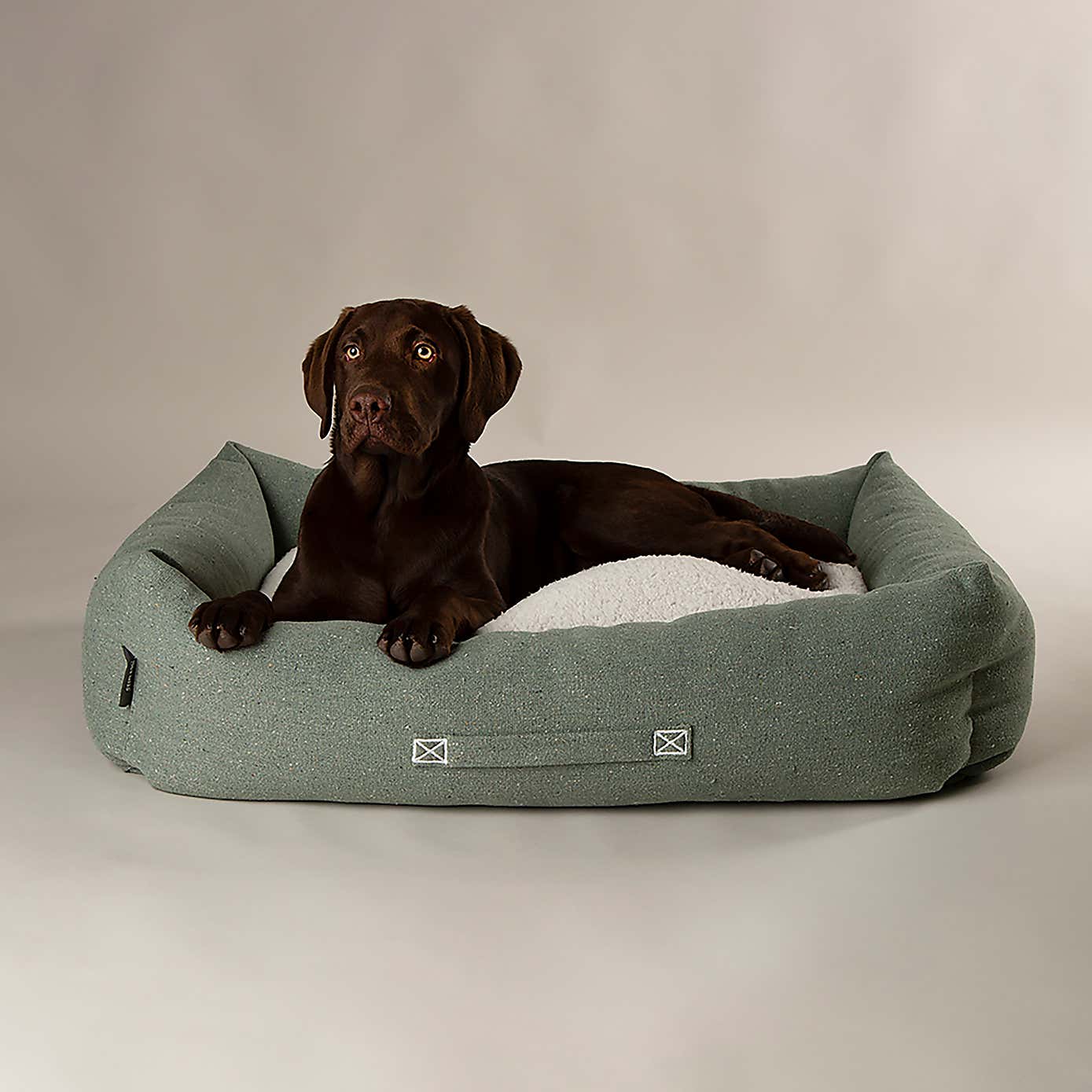 Scruffs 100% Recycled Eden Dog Box Bed