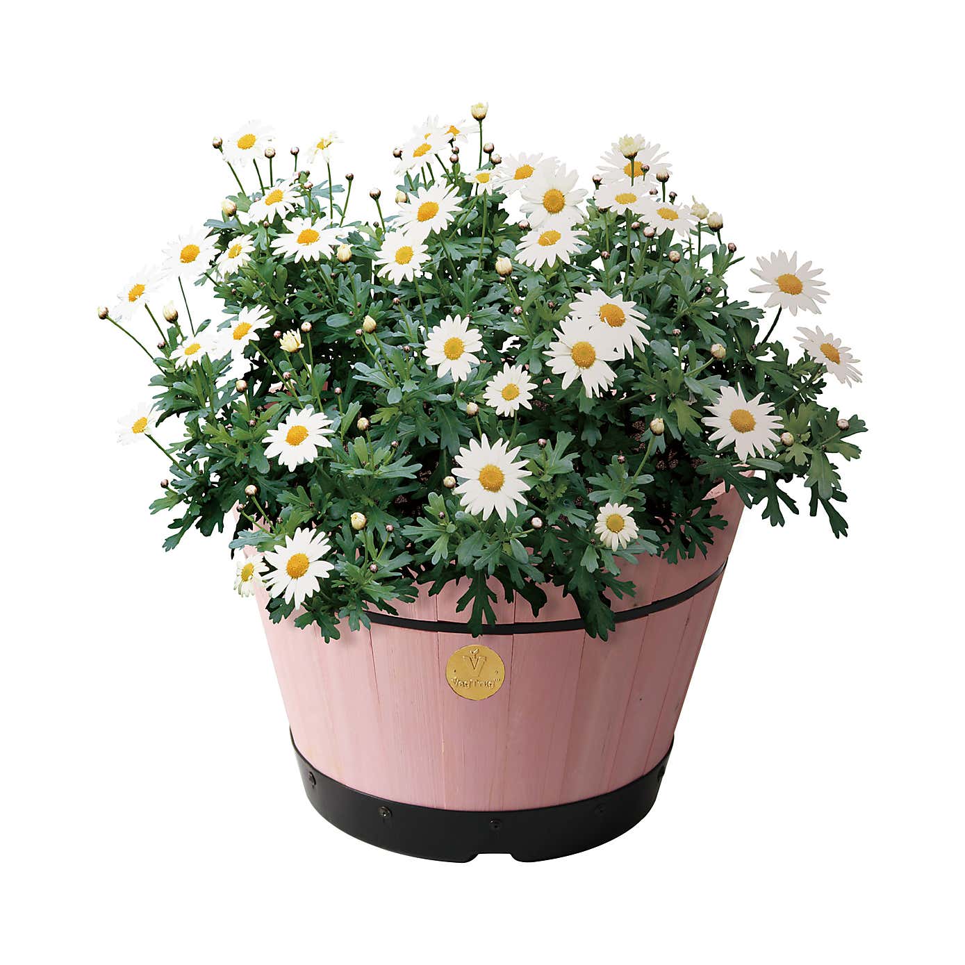 VegTrug Medium Build a Barrel Kit