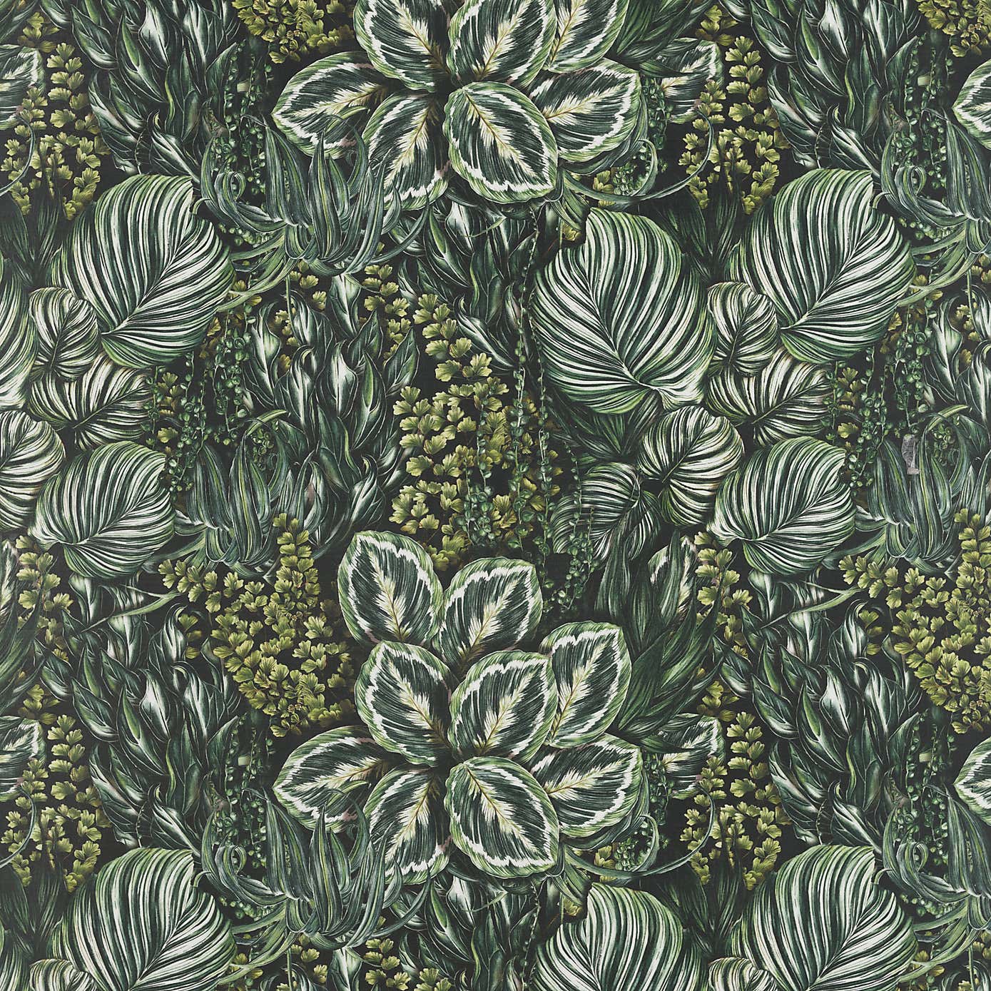 By the Metre Green Living Wall Oilcloth