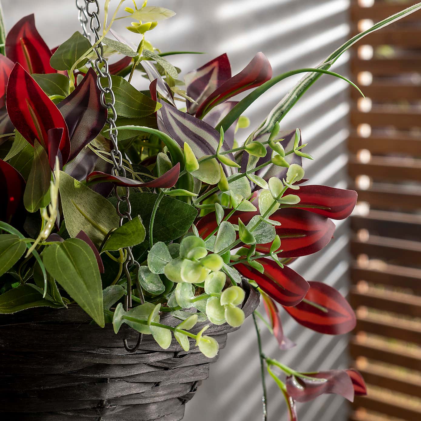 Tropical Hanging Cone