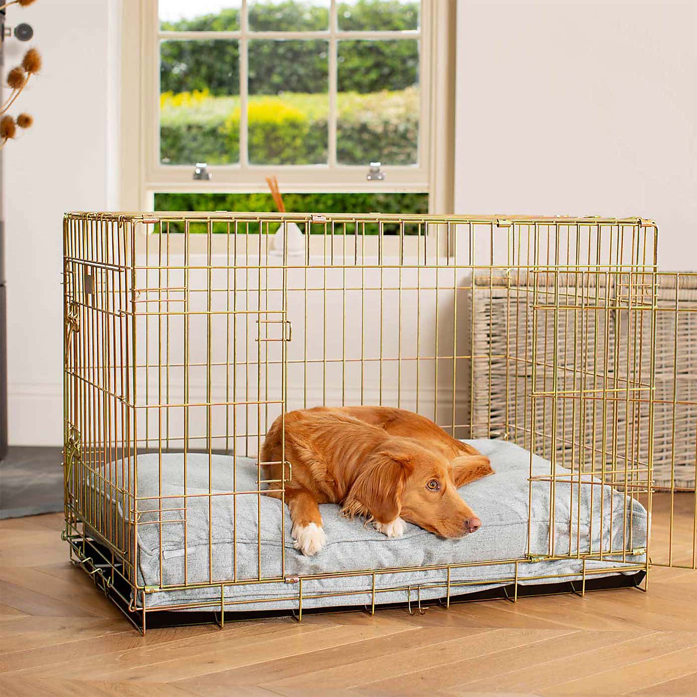 Lords and Labradors Inchmurrin Dog Cushion