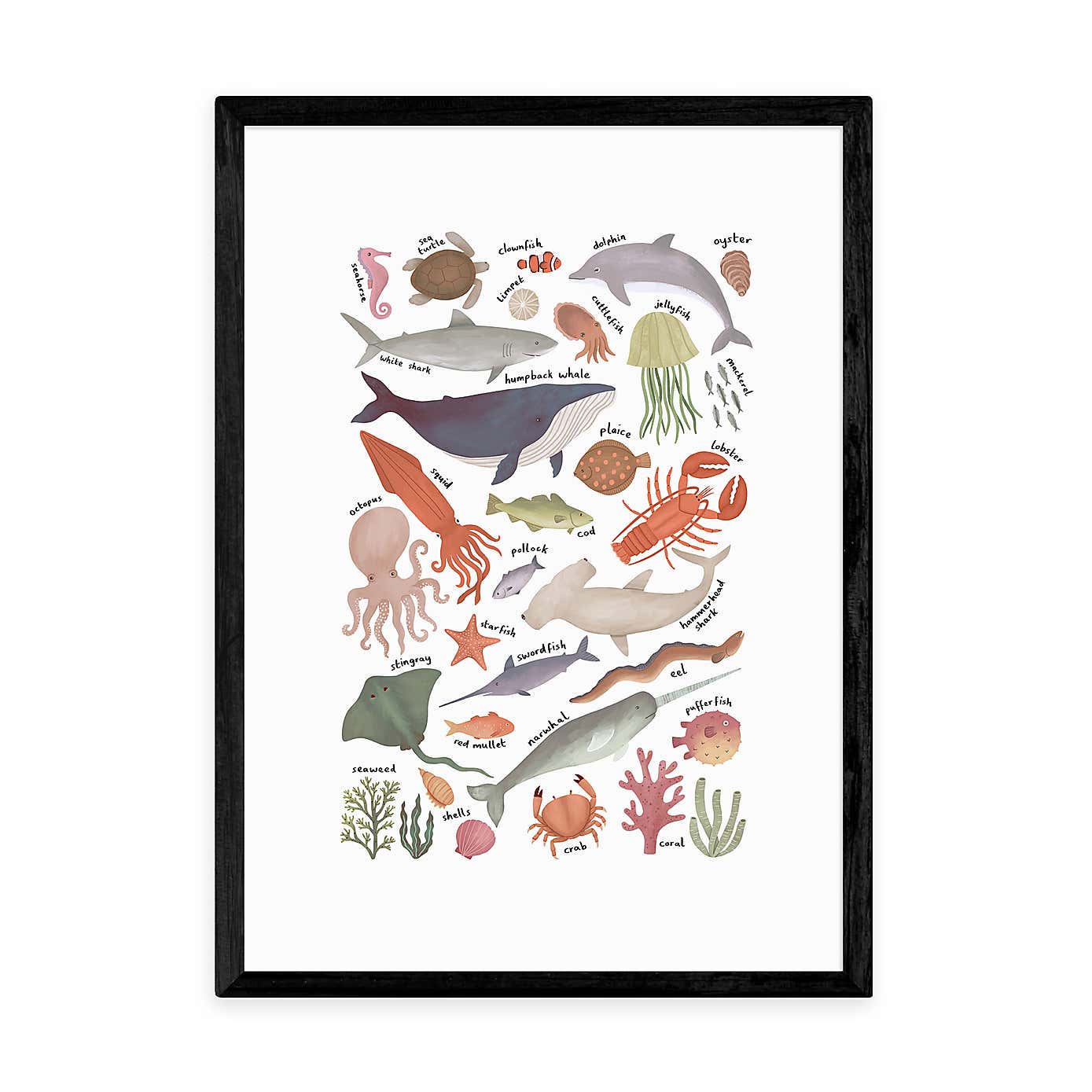 East End Prints Ocean Life Chart by Kid of the Village