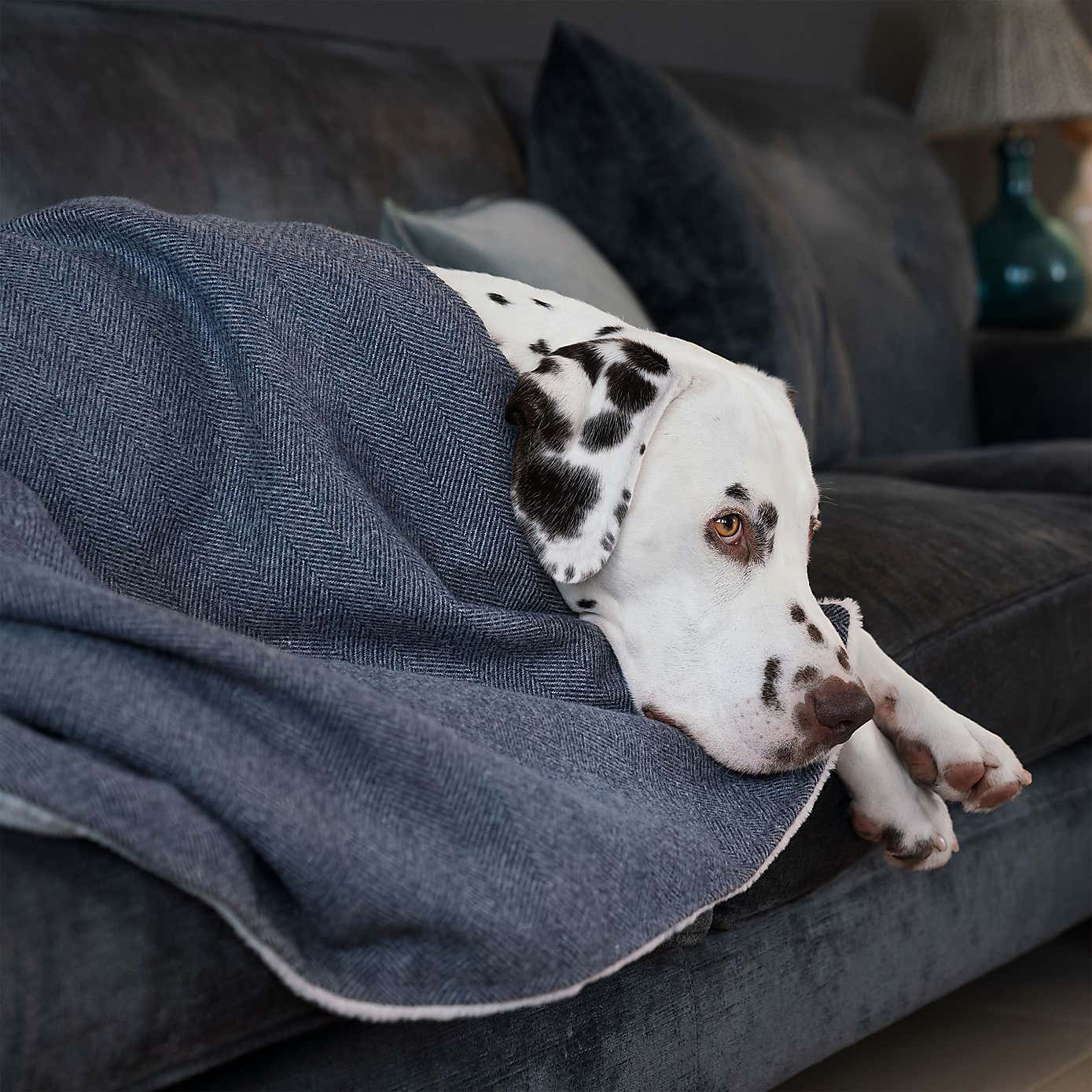 Lords and Labradors Herringbone Tweed Dog Blanket