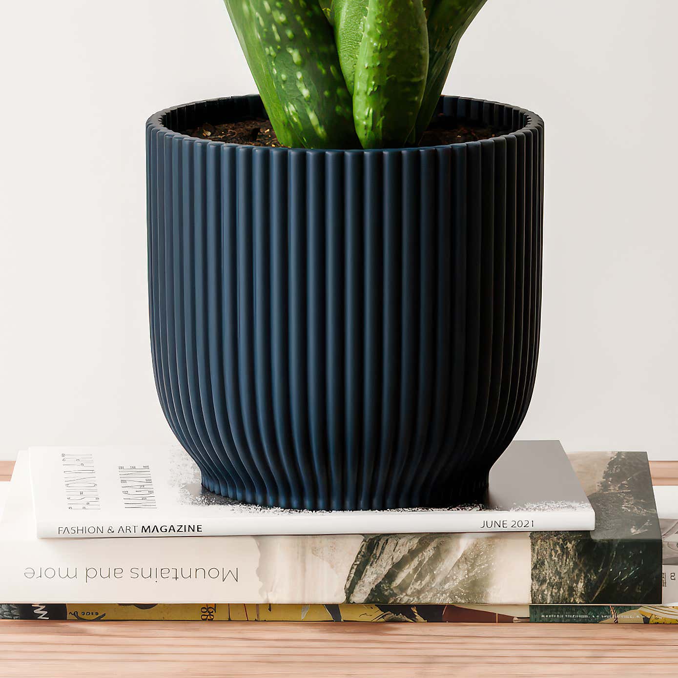 Aloe Vera House Plant in Elho Vibes Pot