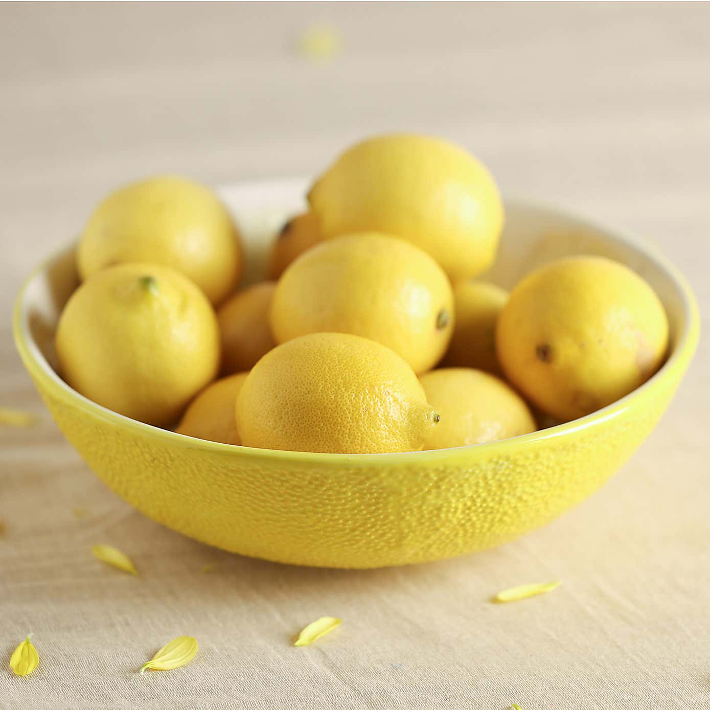 Hestia Lemon Serving Bowl