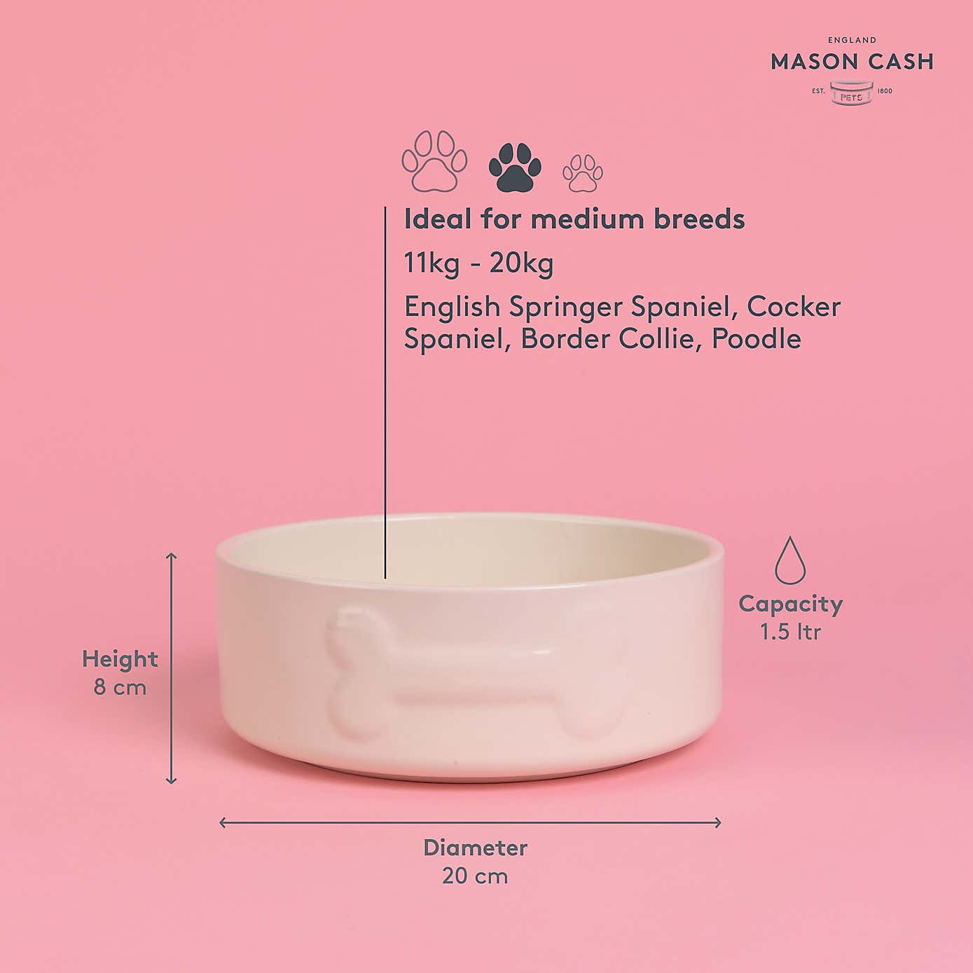 Mason Cash Set of 2 Bone Dog Bowls