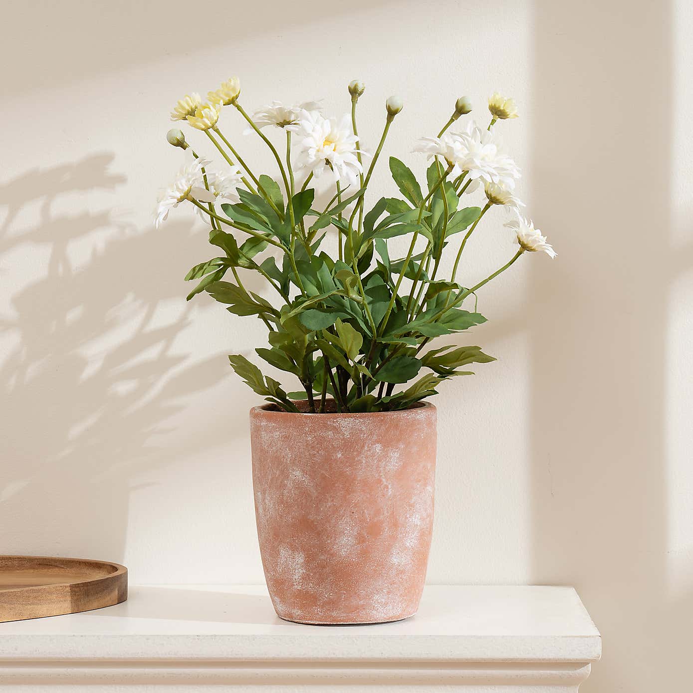 Artificial White Daisy in Terracotta Plant Pot
