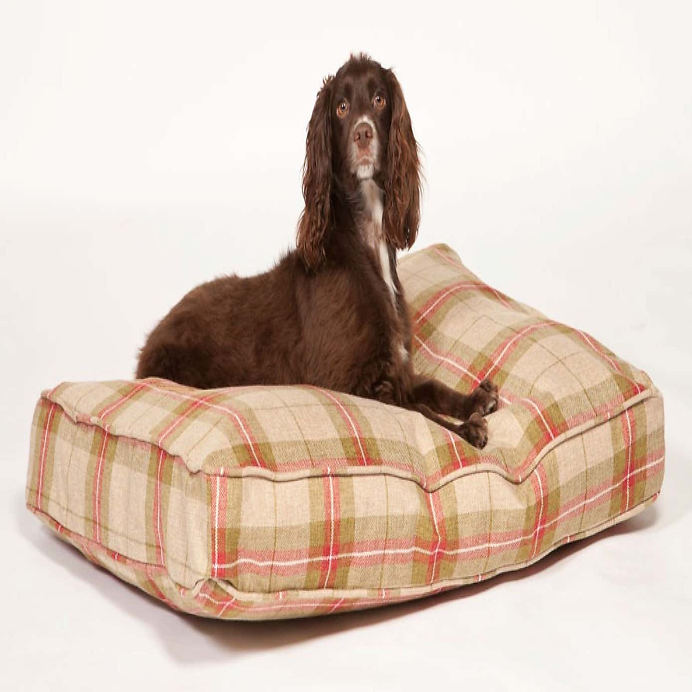 Danish Design Newton Moss Box Dog Duvet