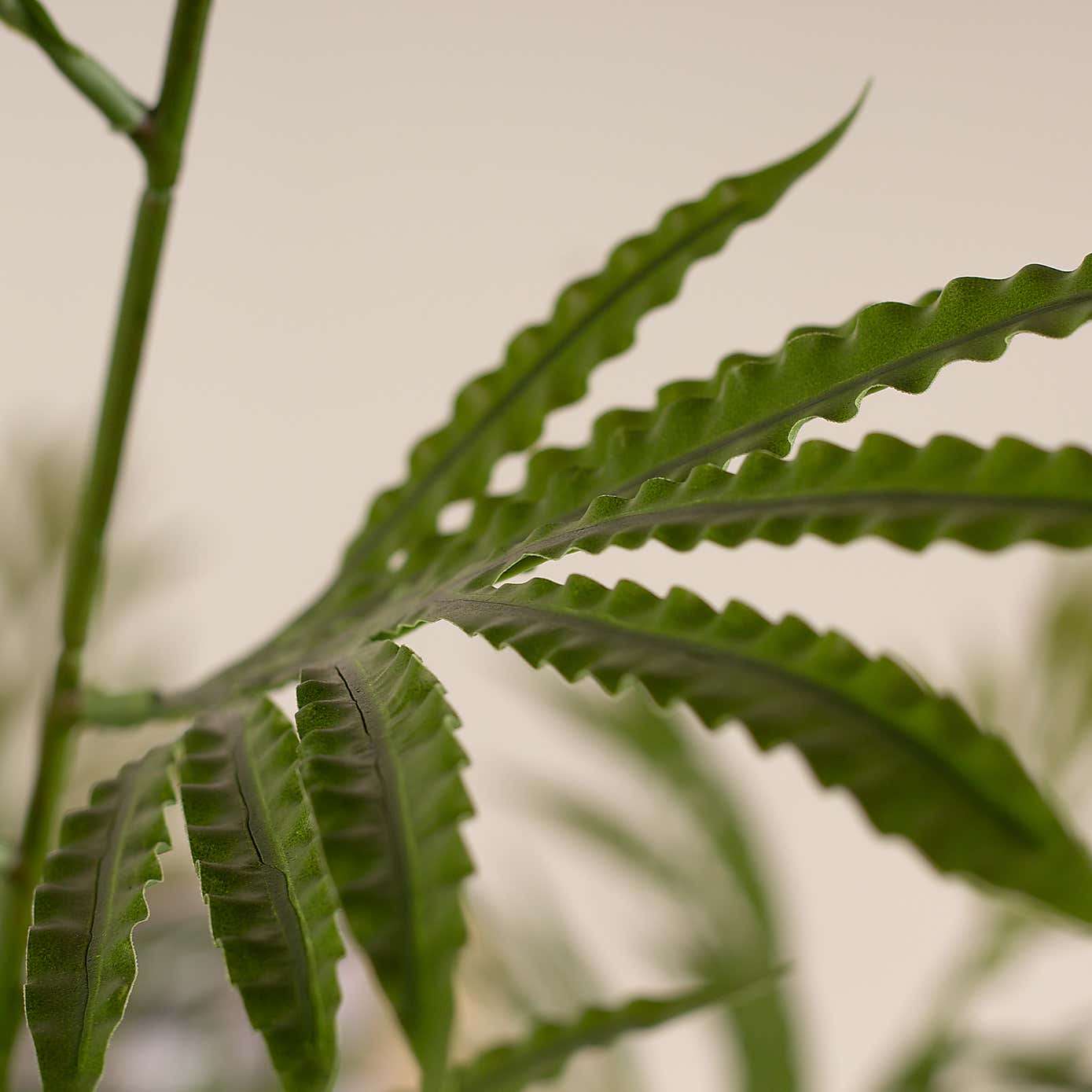 Artificial Real Touch Cycad Palm in Black Plastic Plant Pot