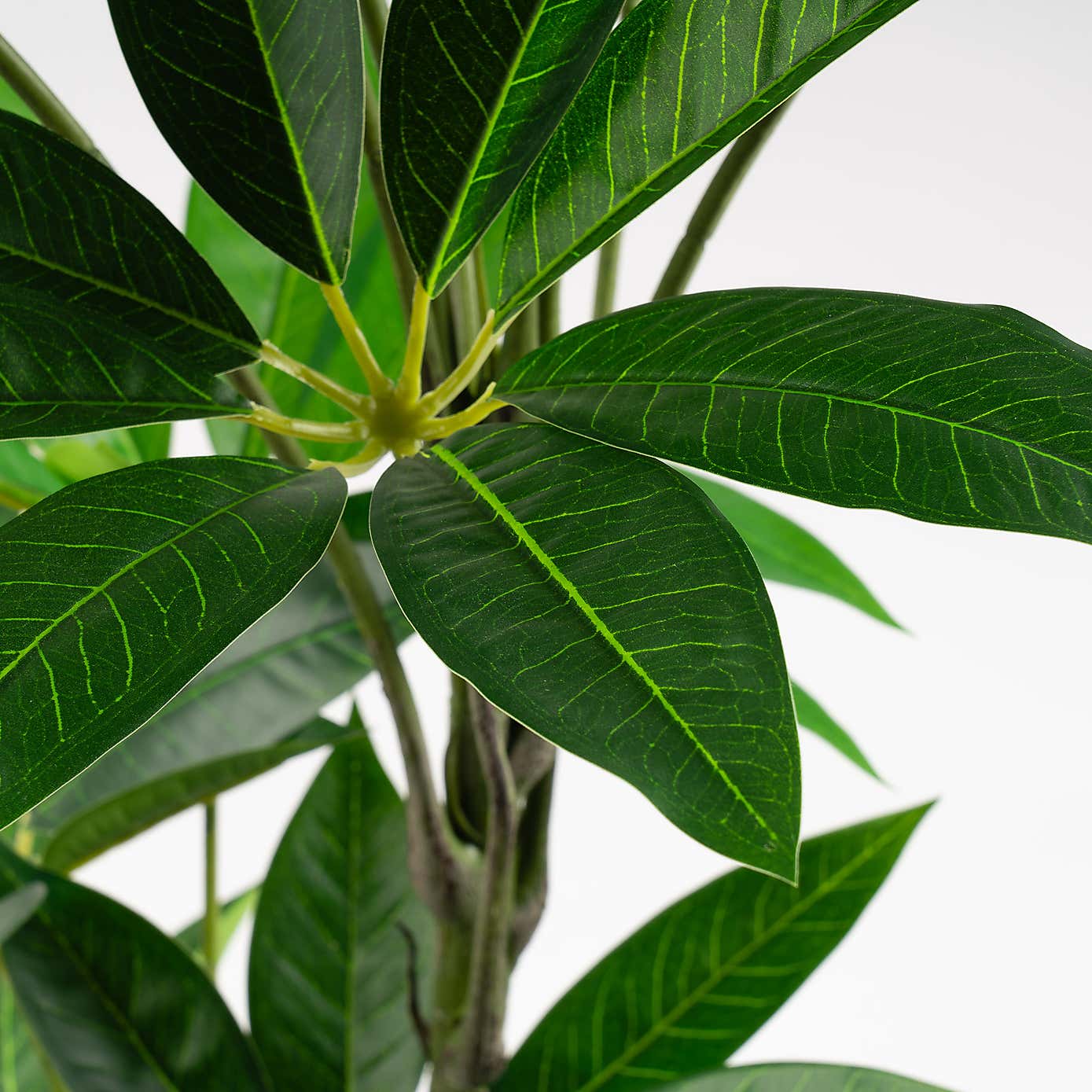 Artificial Umbrella Plant in Black Plant Pot