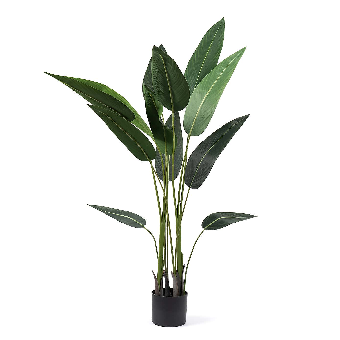 Artificial Bird of Paradise Tree in Black Plastic Plant Pot