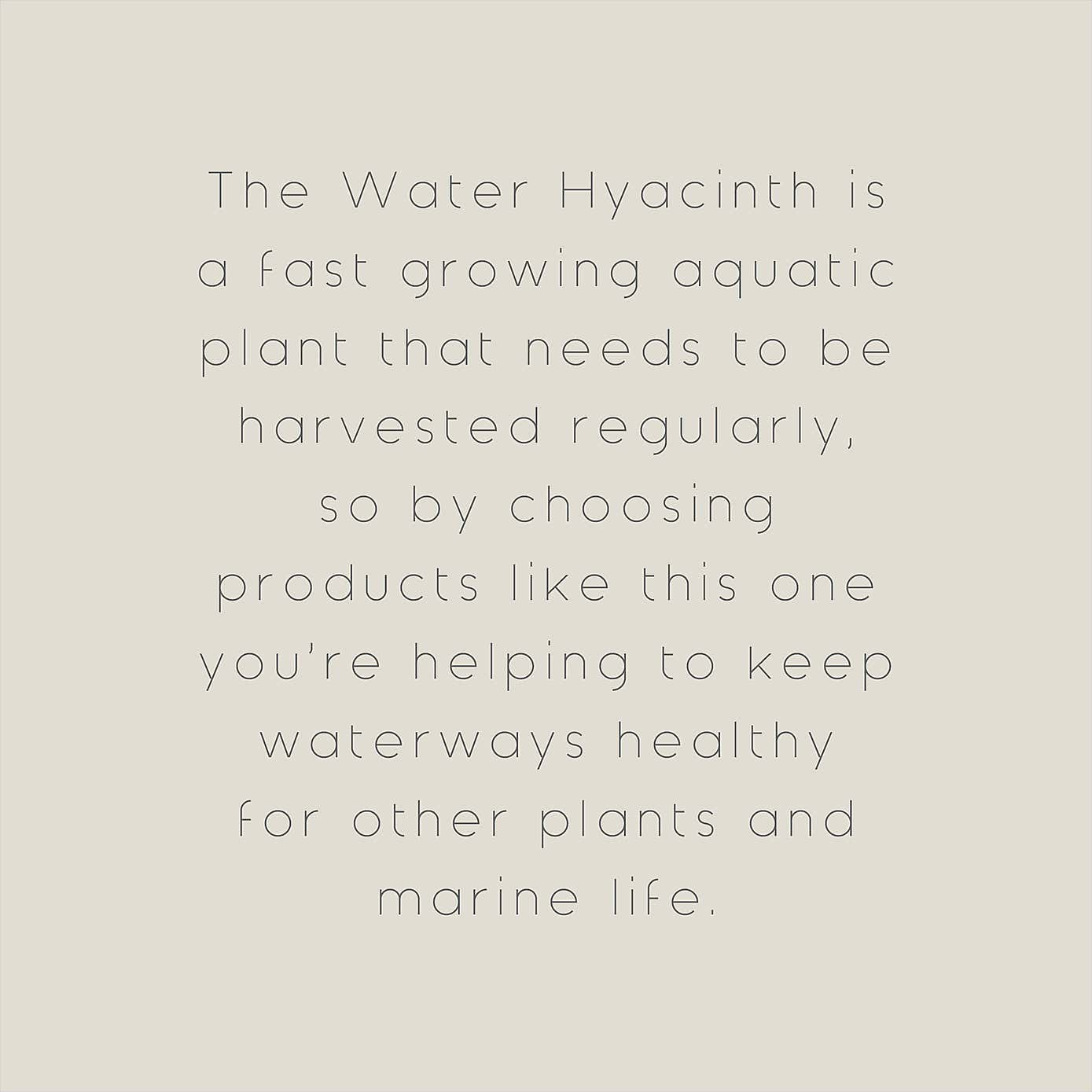 Rectangular Water Hyacinth Tray