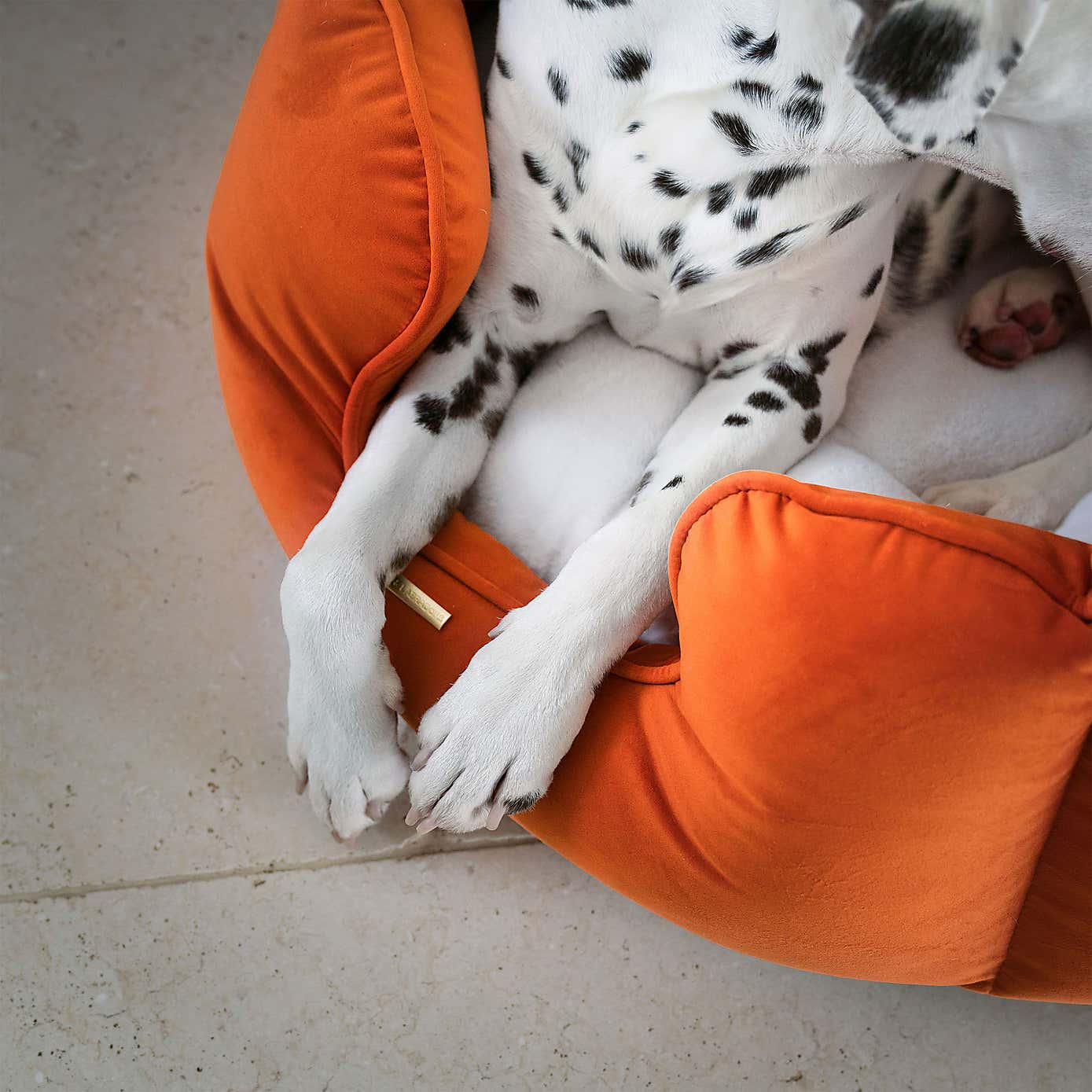 Lords and Labradors Velvet High Wall Dog Bed