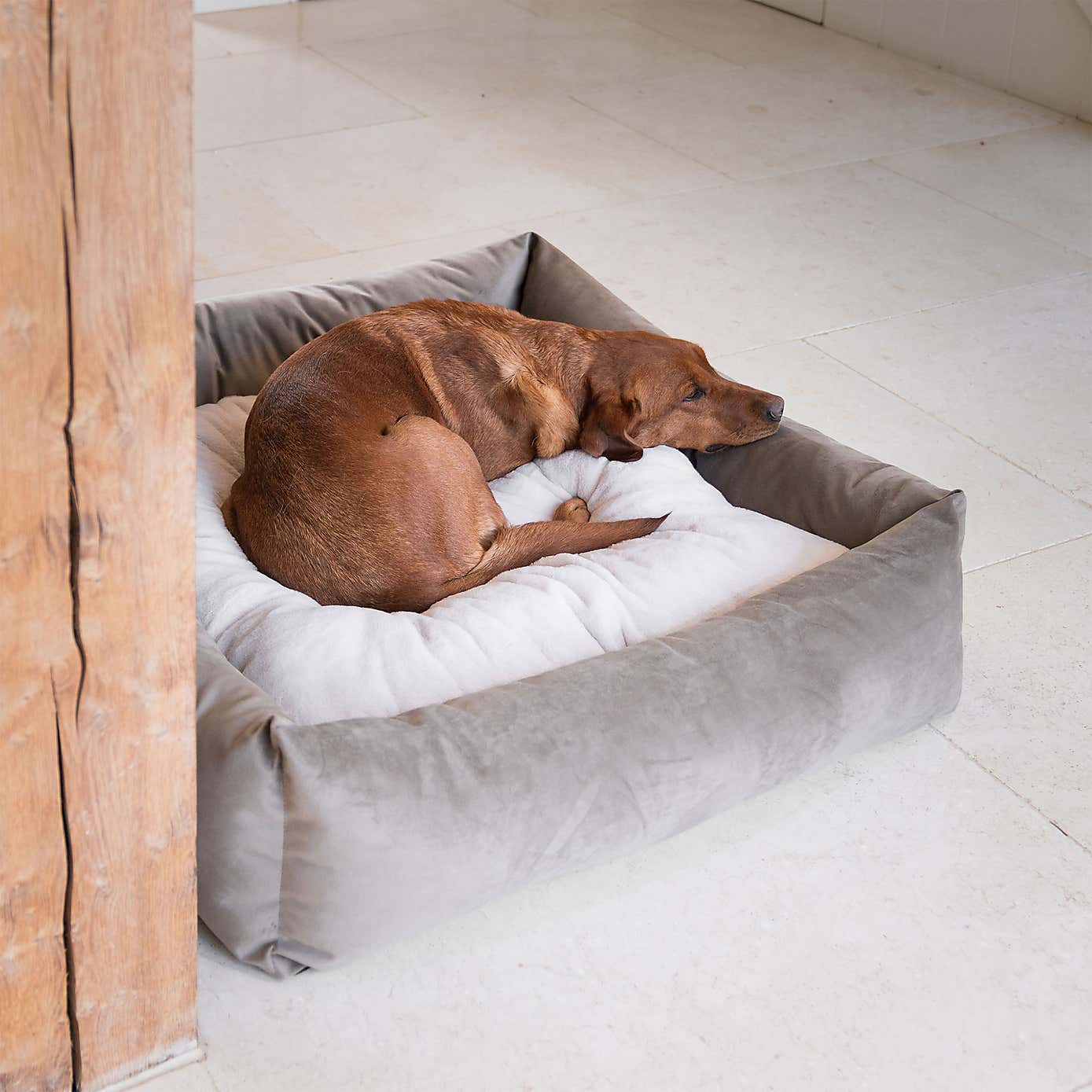 Lords and Labradors Velvet Box Dog Bed