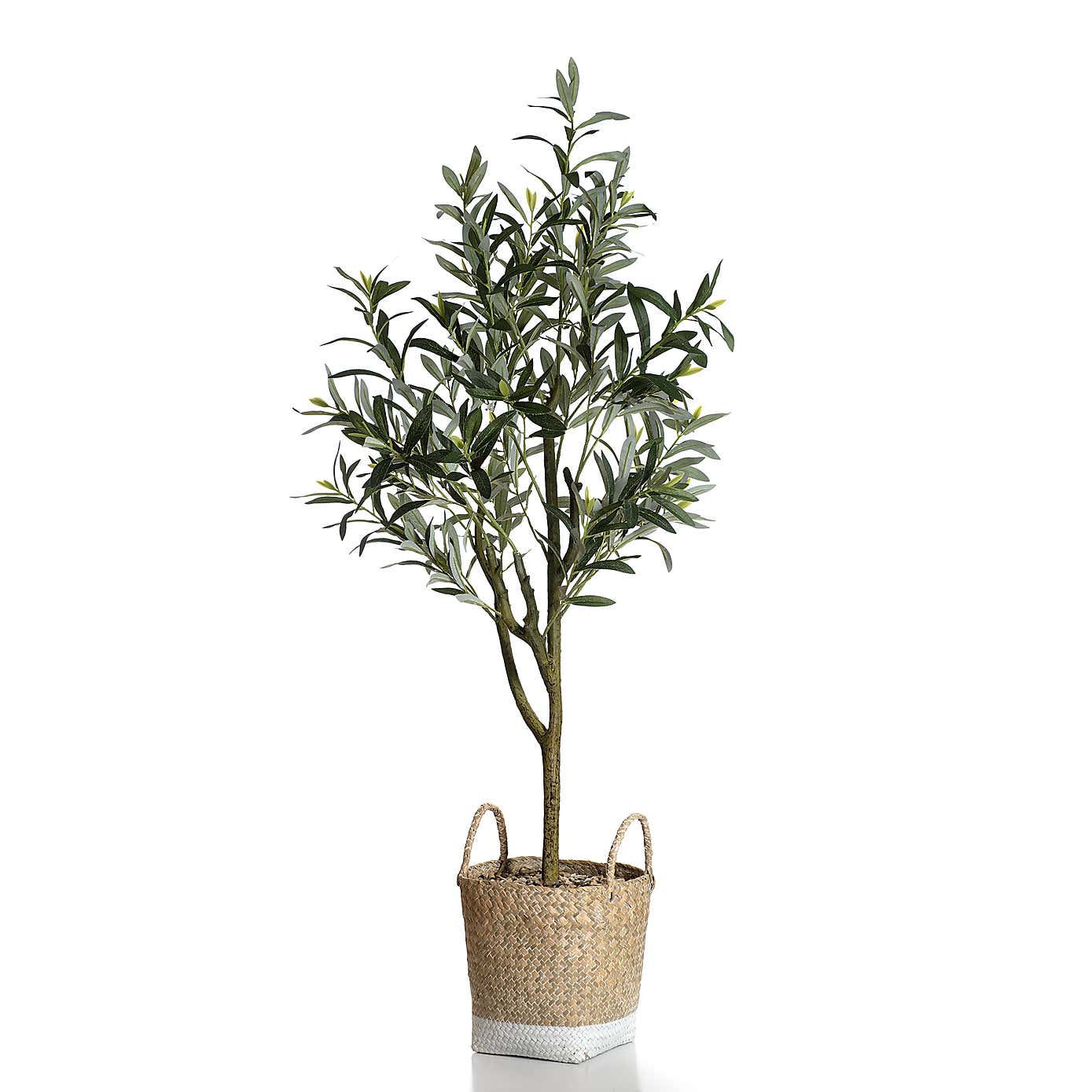 Artificial Olive Tree in Woven Basket Plant Pot