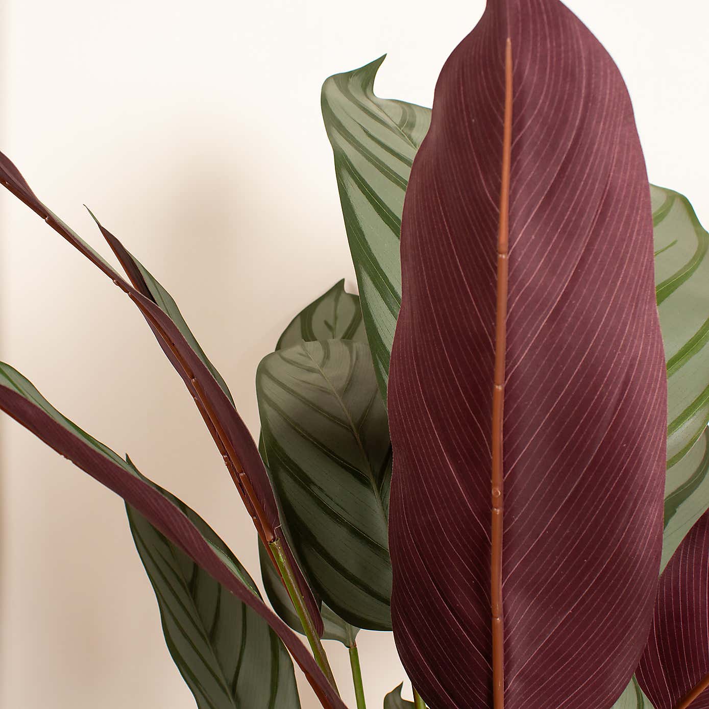 Artificial Real Touch Prayer Plant in Black Plastic Plant Pot