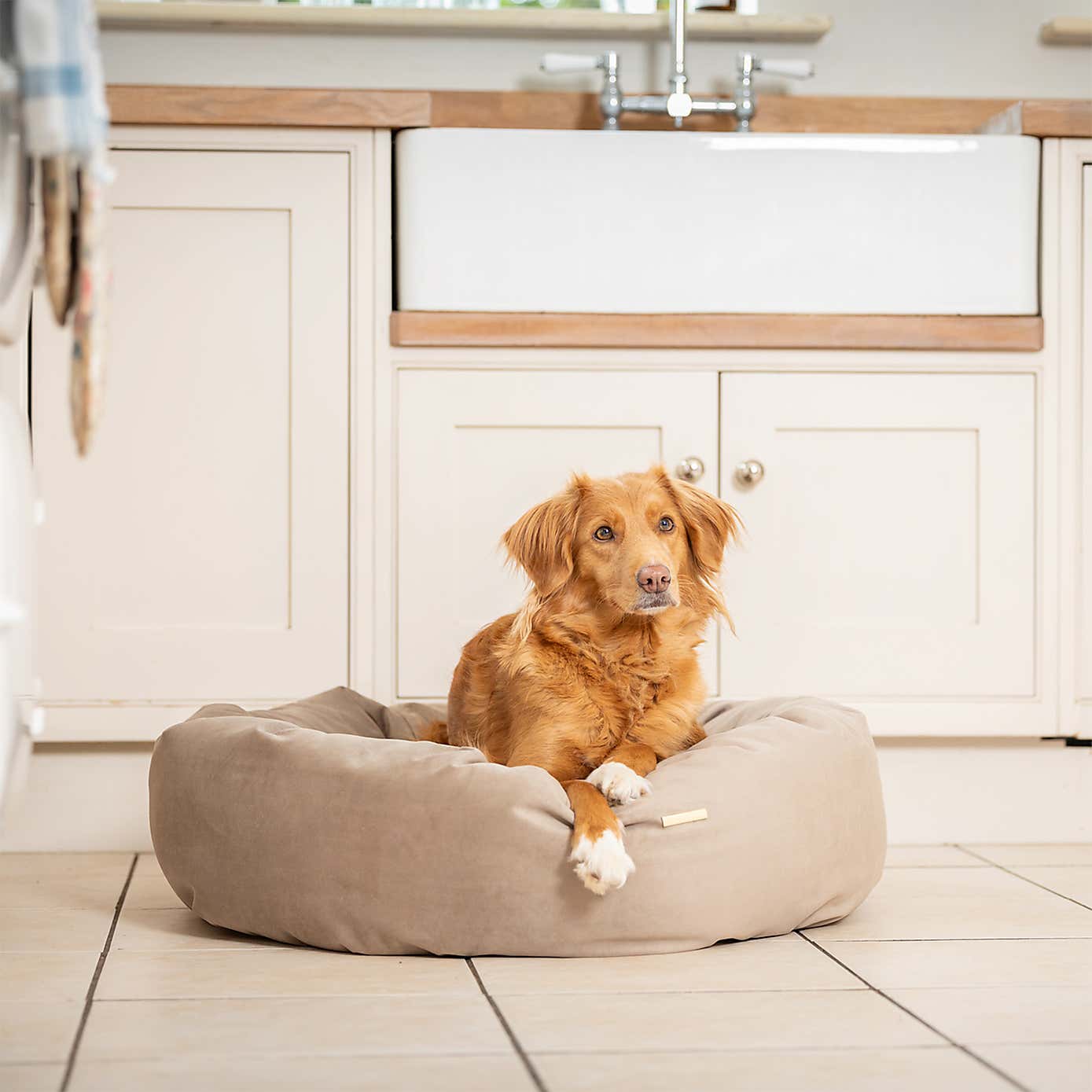 Lords and Labradors Velvet Donut Dog Bed