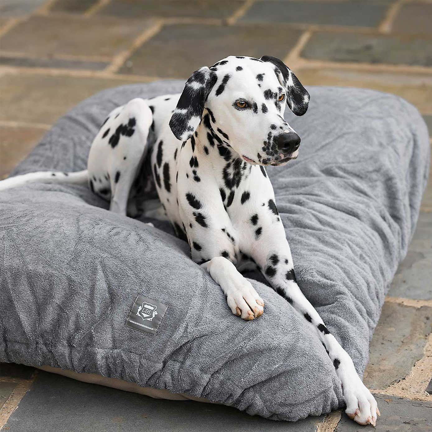 Lords and Labradors Bamboo Dog Drying Cushion Cover