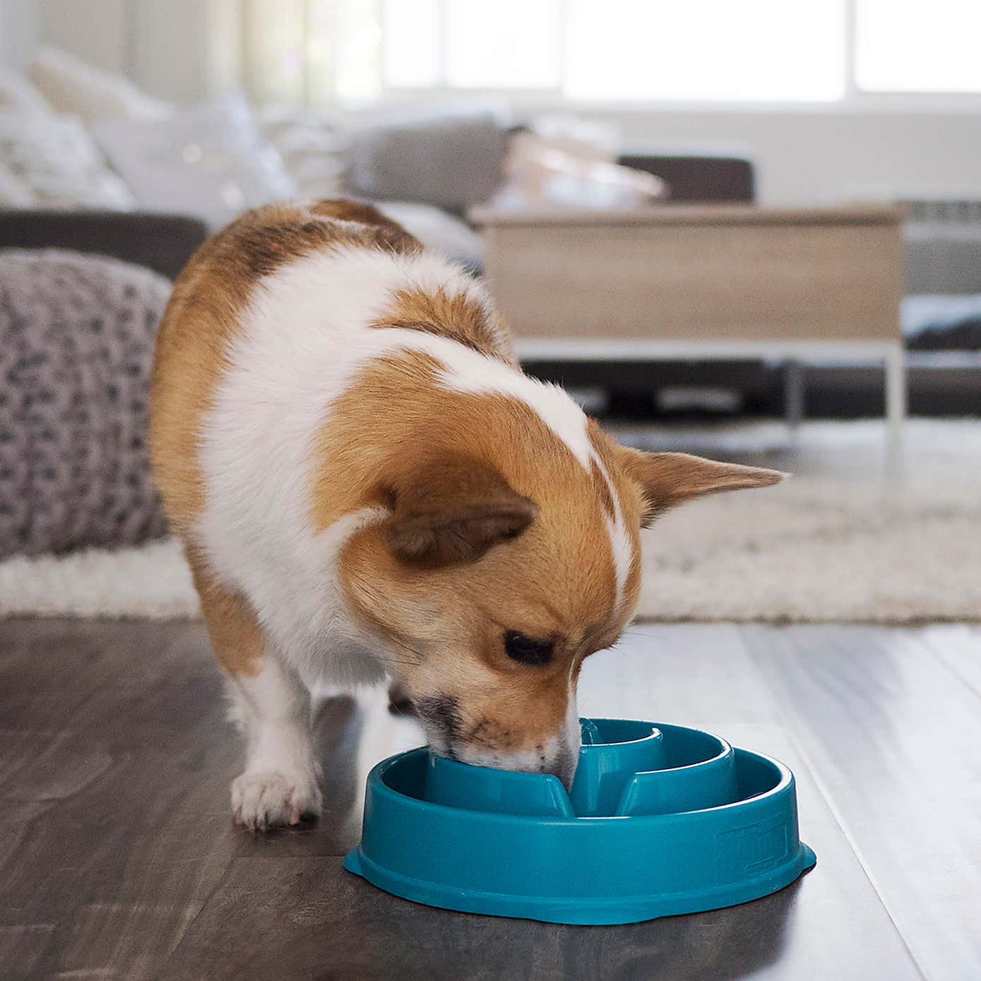 Rosewood Fun Feeder Drop Pet Bowl