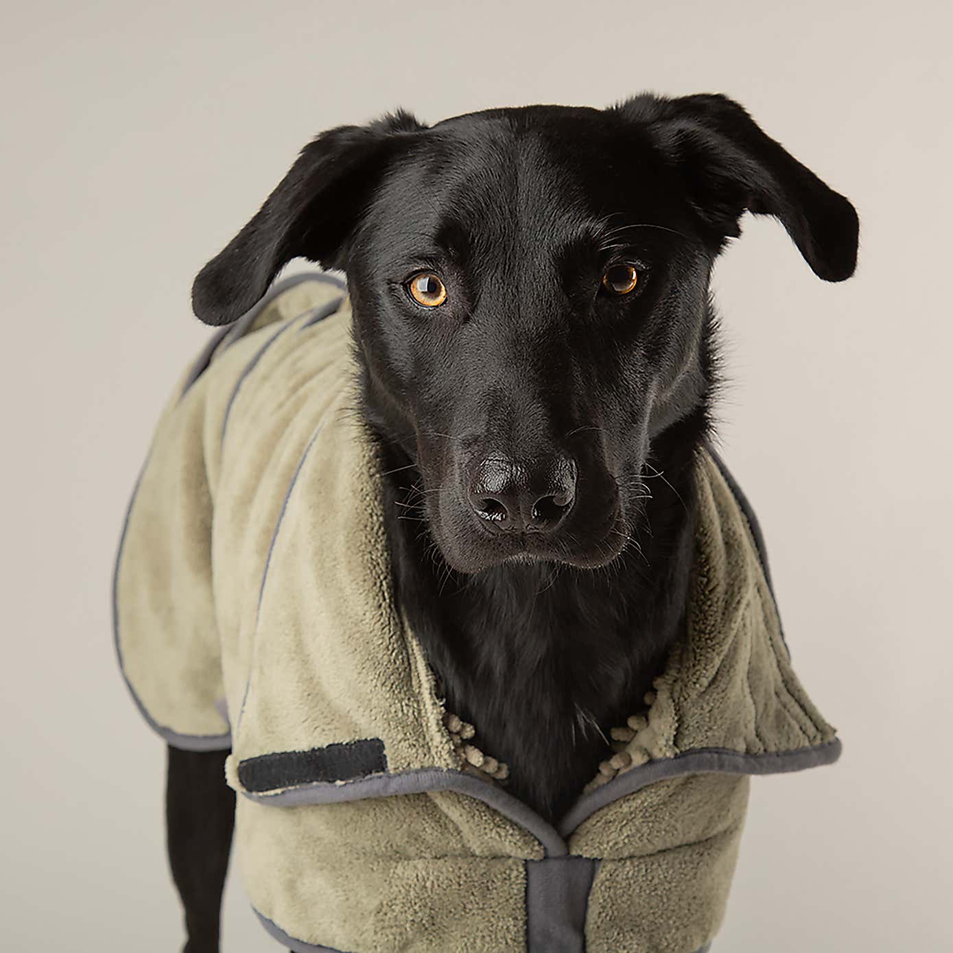 Scruffs Expedition Dog Drying Robe