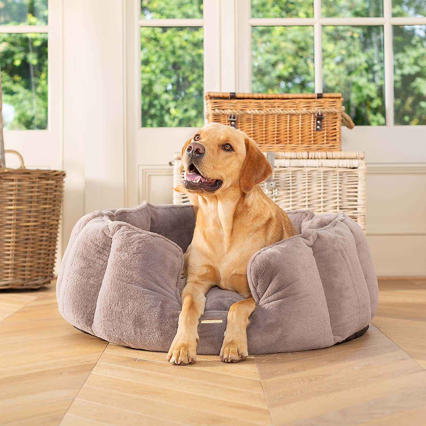 Lords and Labradors High Wall Dog Bed