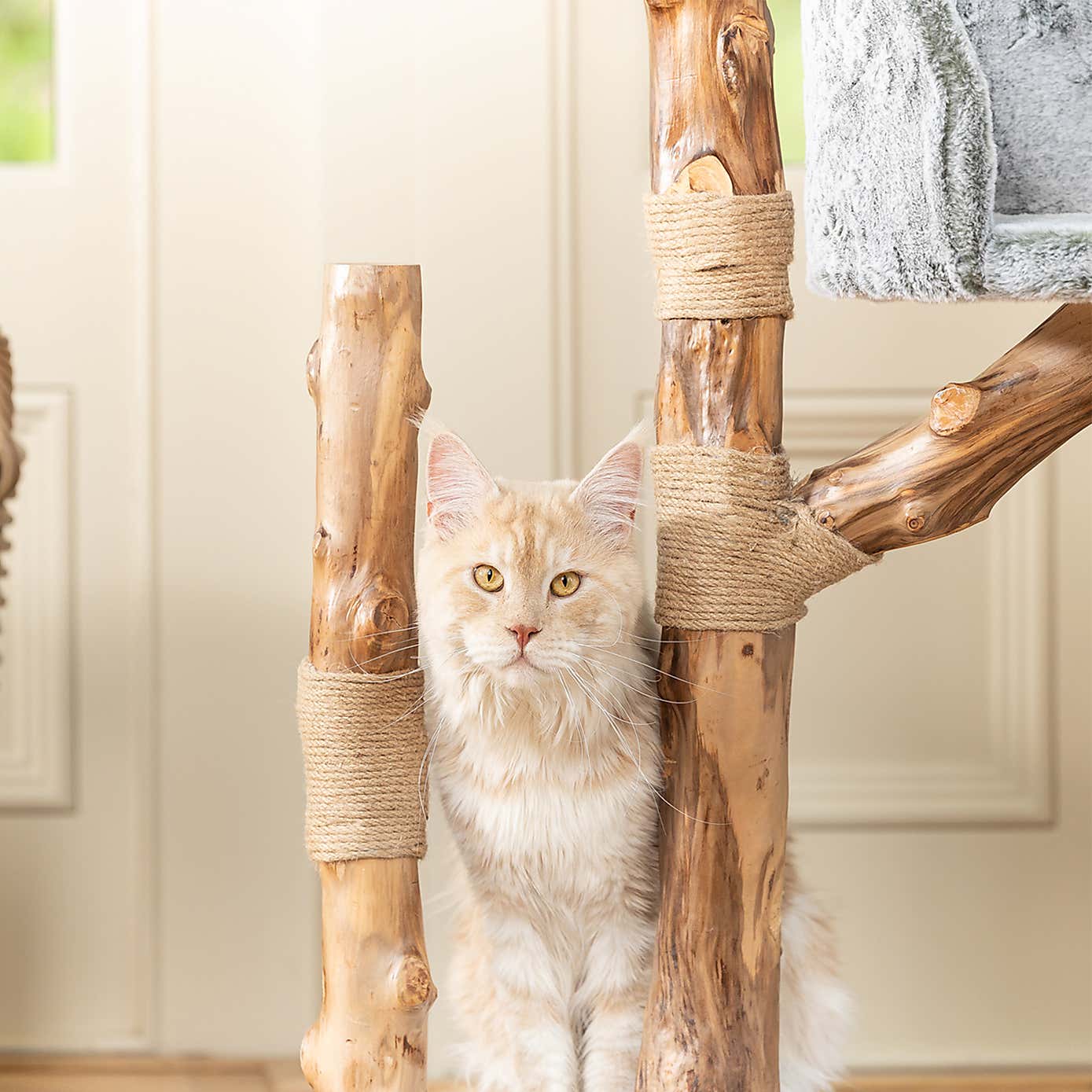 Lords and Labradors Trio Cat Scratch Post