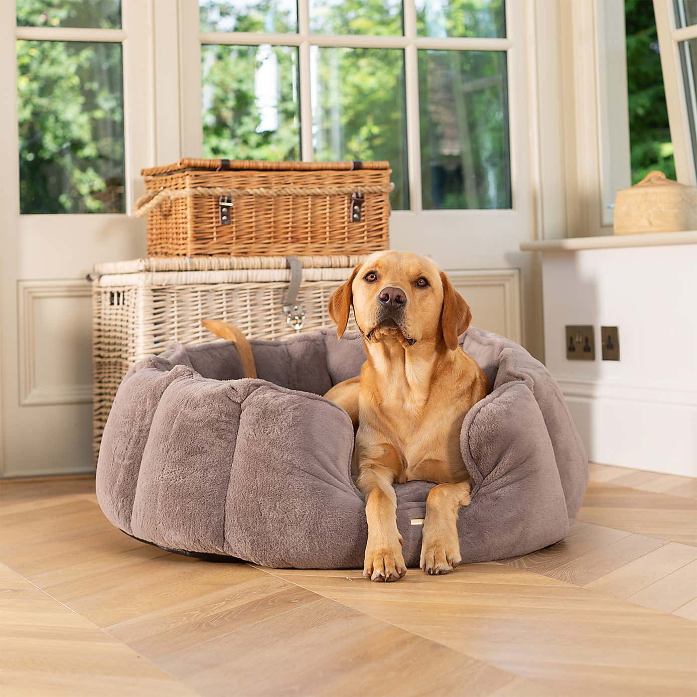 Lords and Labradors High Wall Dog Bed