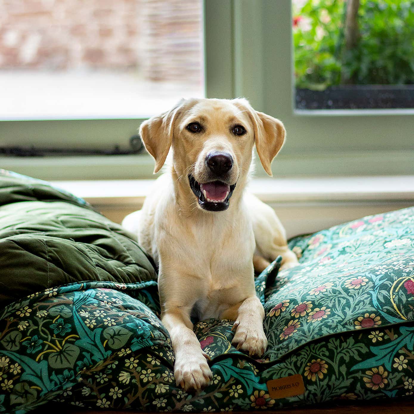 Morris & Co Blackthorn Mattress Pet Bed