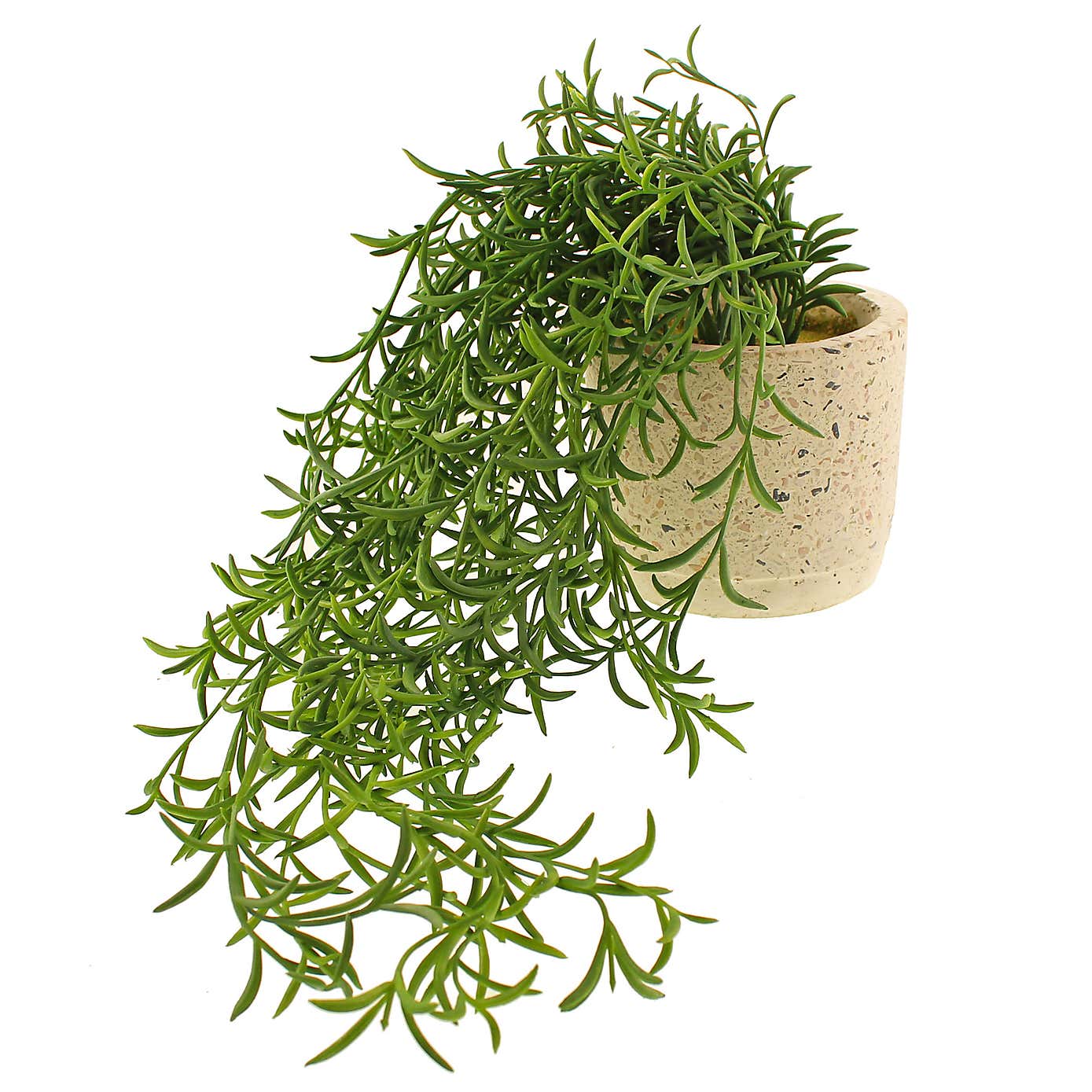 Artificial Trailing Plant in White Plant Pot