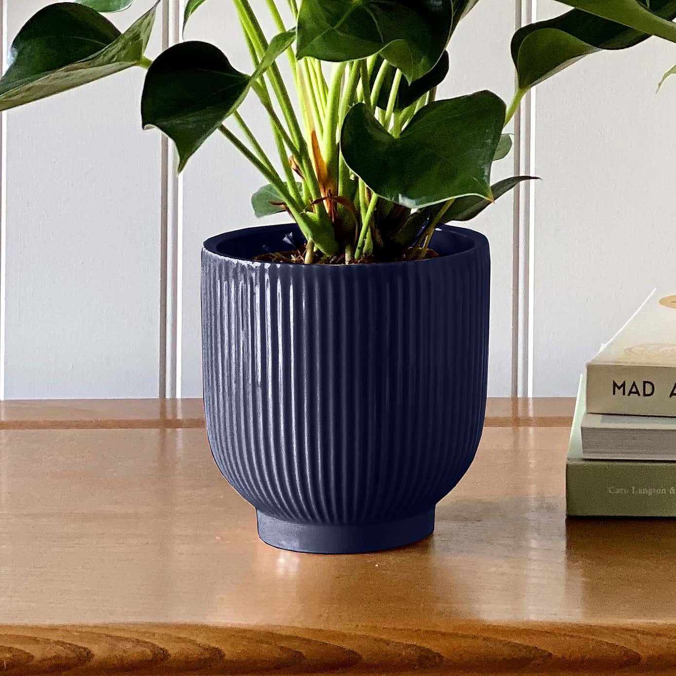 Beards & Daisies Air Purifying Pair Peace Lily and Peach Anthurium House Plant in Ribbed Pot