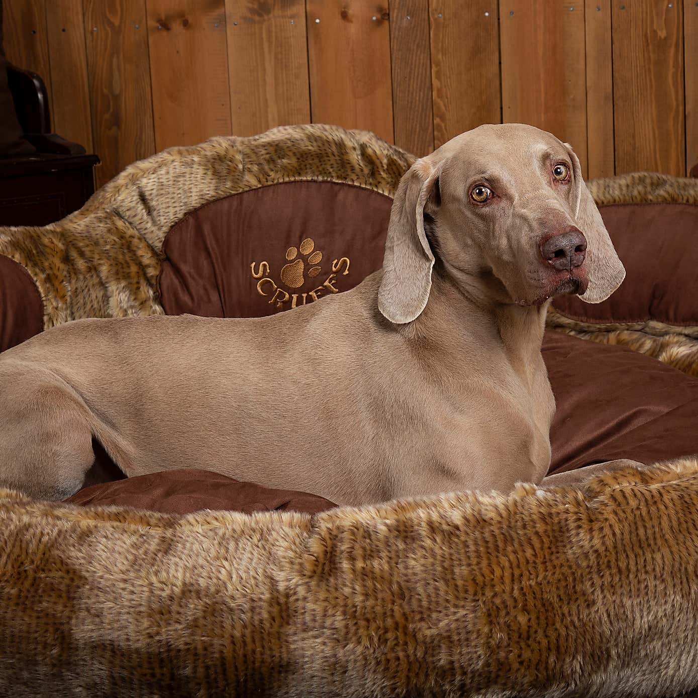 Scruffs Grizzly Bear Dog Bed