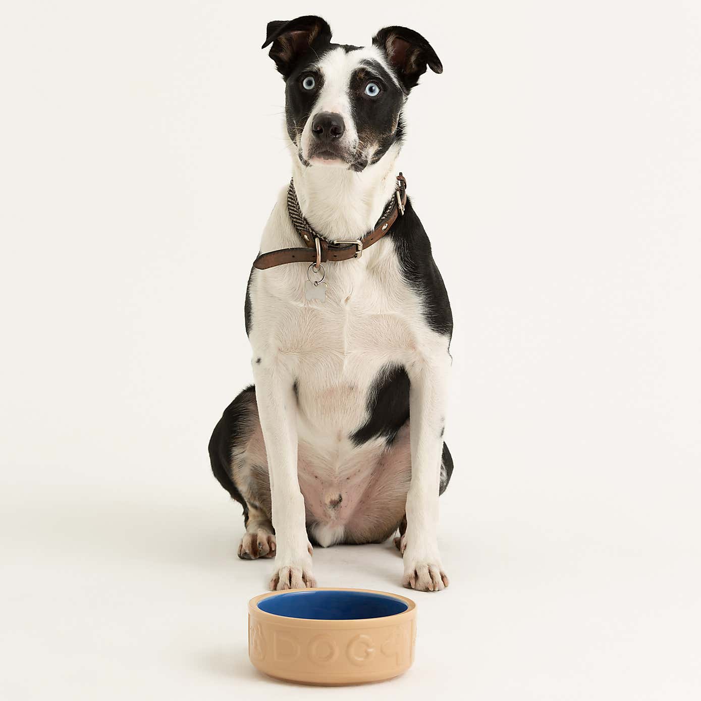 Mason Cash Cane and Blue Dog Bowl
