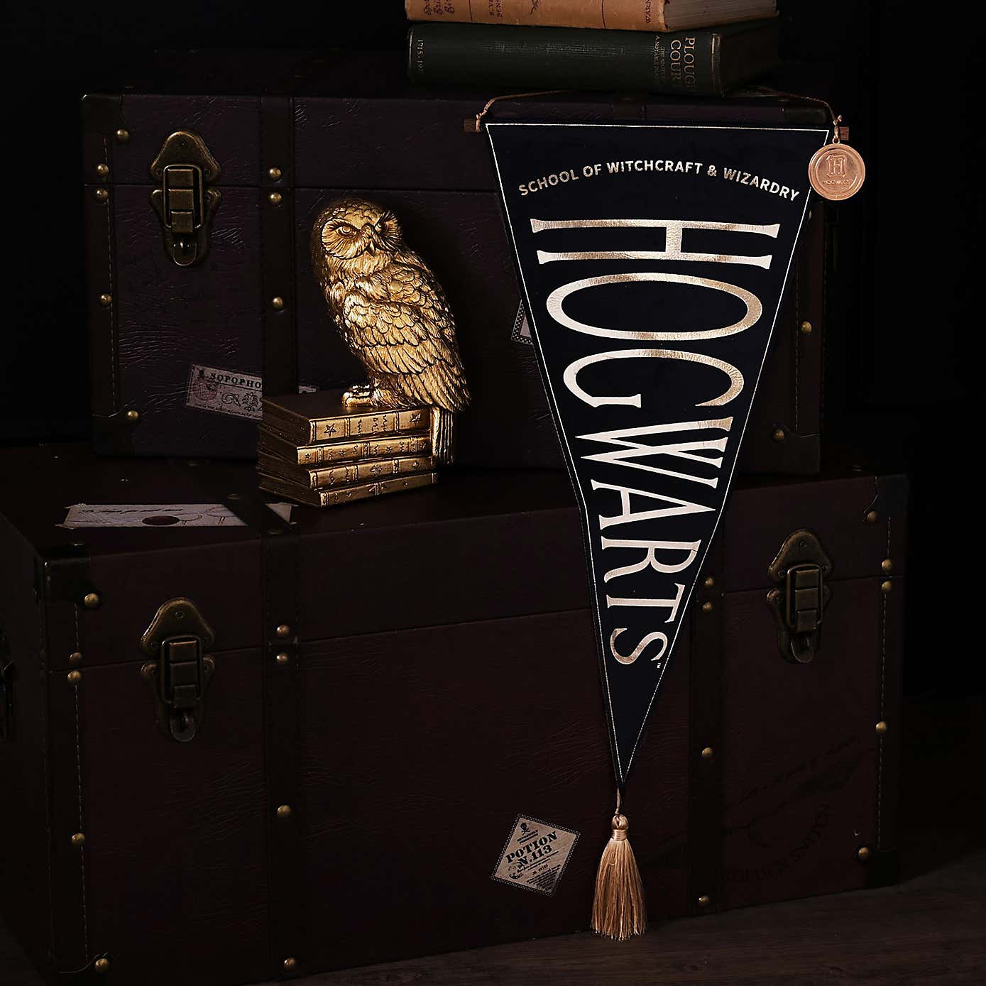 Harry Potter Hogwarts Hanging Banner