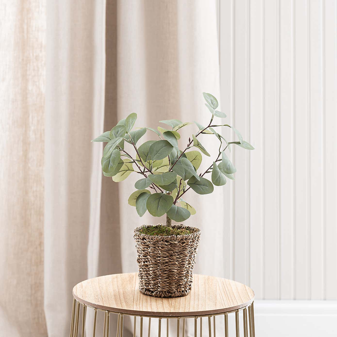 Artificial Small Eucalyptus Tree in Woven Plant Pot