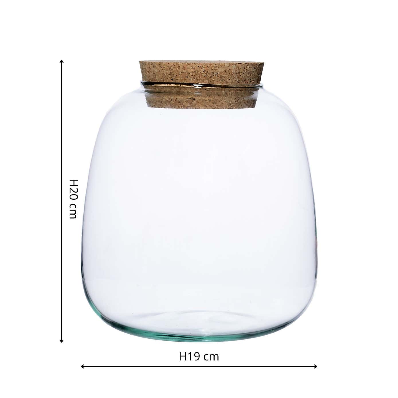 Bowl Shape Medium Terrarium DIY Kit